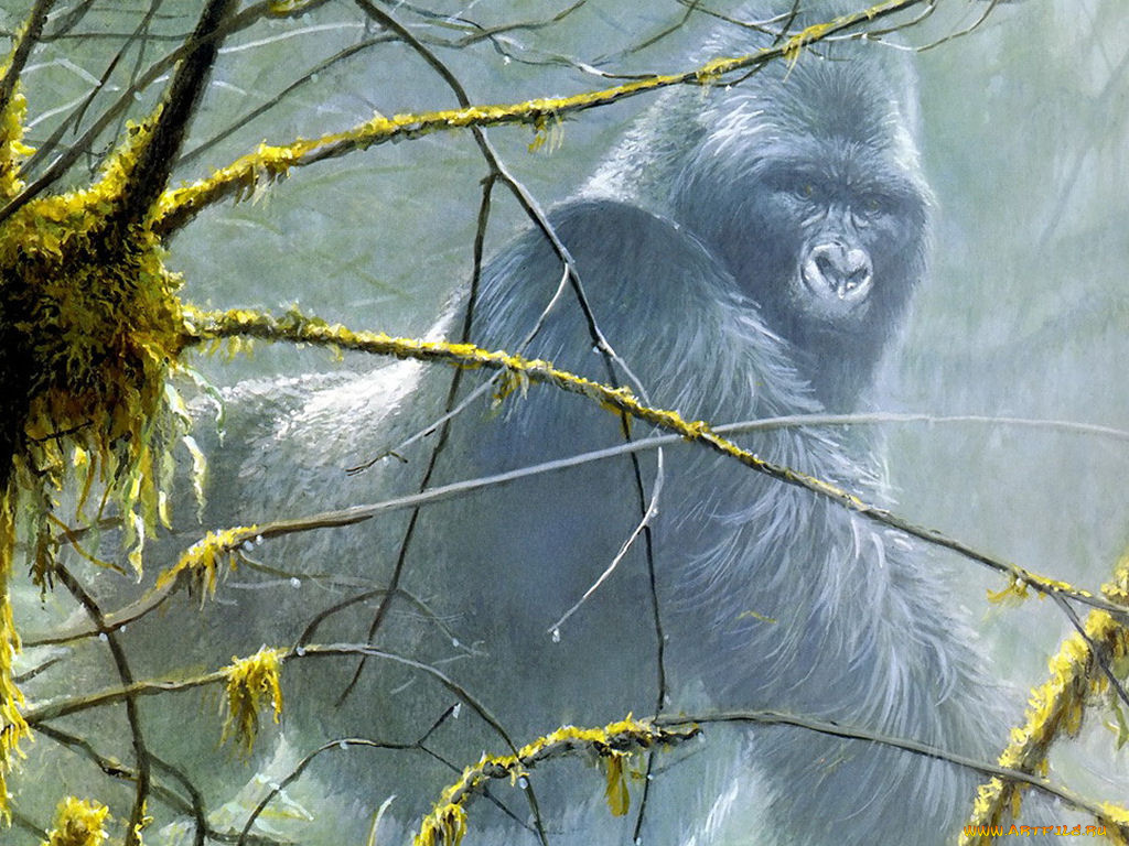 рисованные, животные, обезьяны