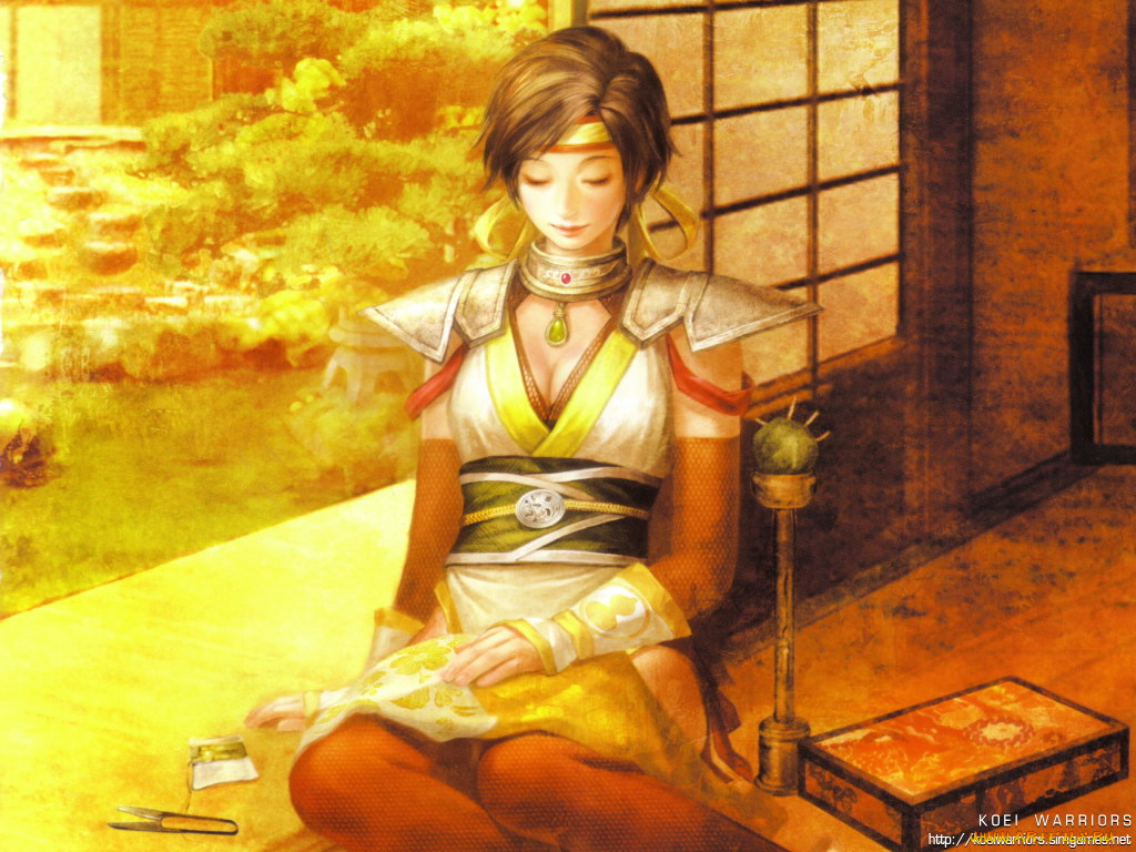 samurai, warriors, видео, игры