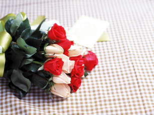 обоя цветы, розы