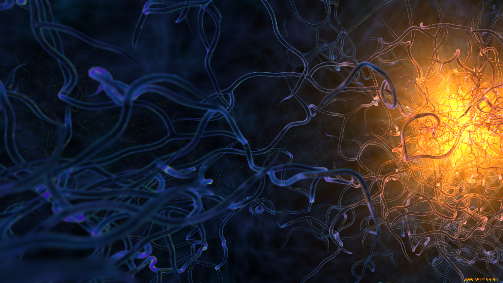 3д, графика, abstract, абстракции