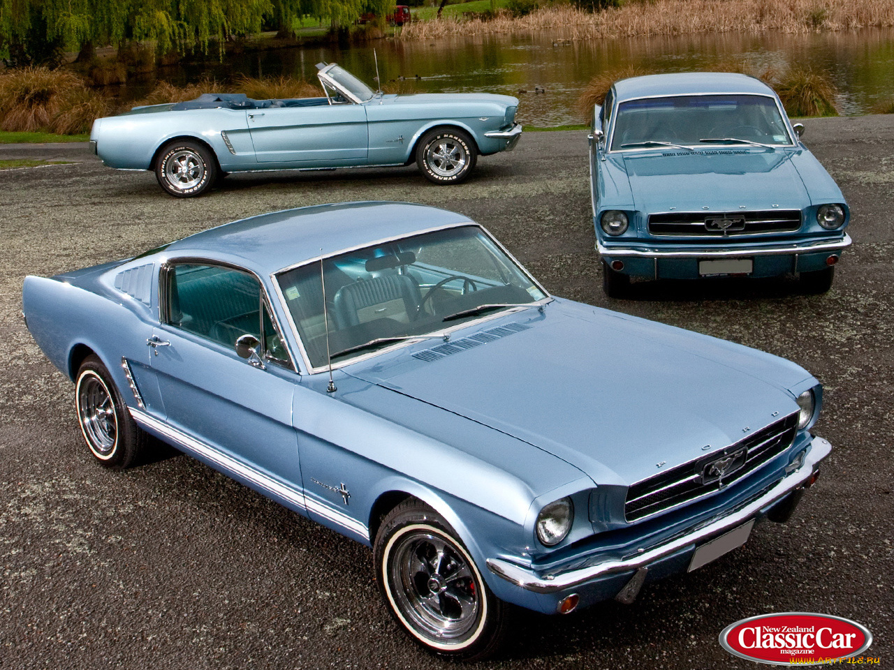 автомобили, mustang