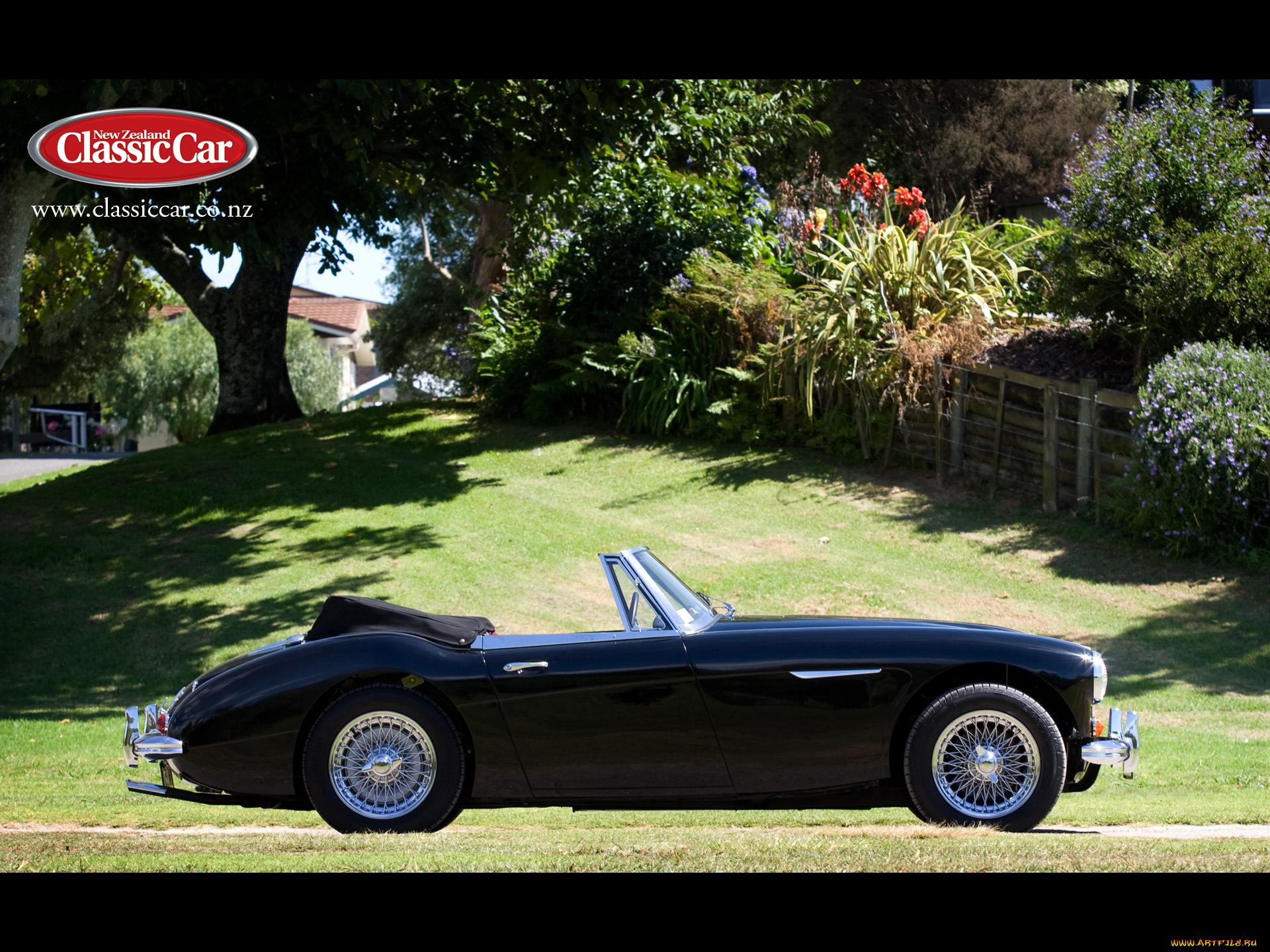 автомобили, austin, healy