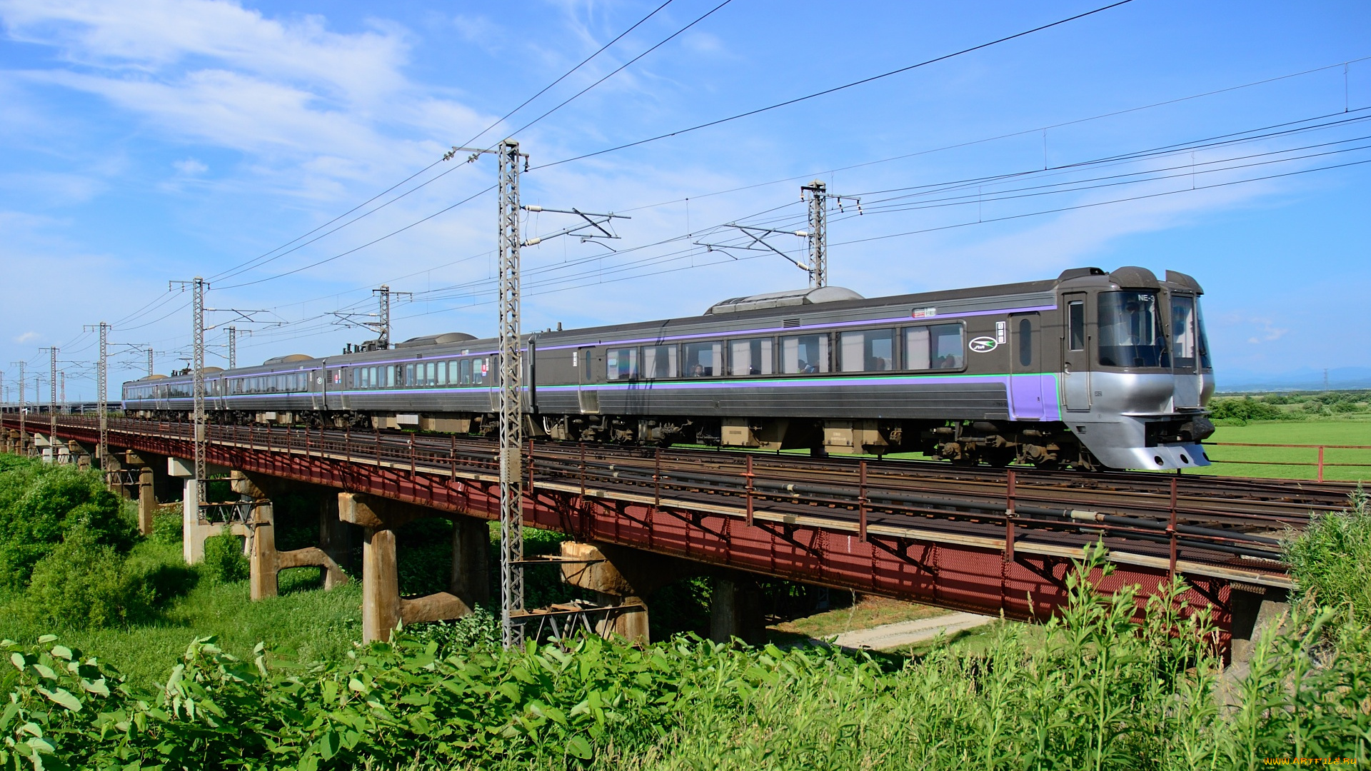 техника, электрички, электричка, мост