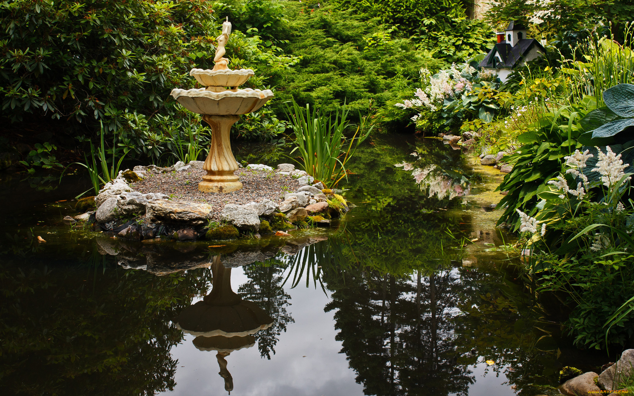 природа, парк, вода, островок