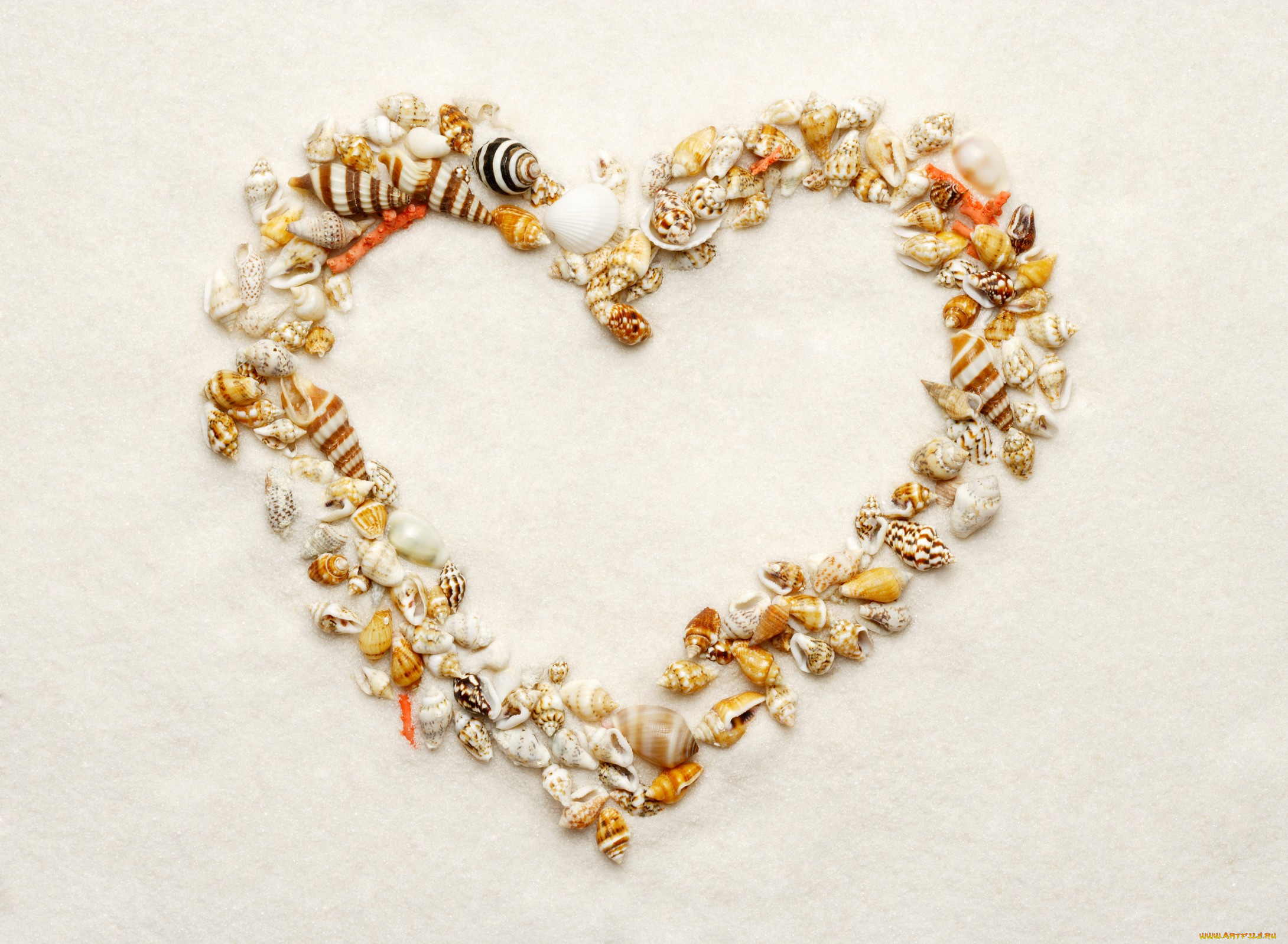 разное, ракушки, кораллы, декоративные, spa, камни