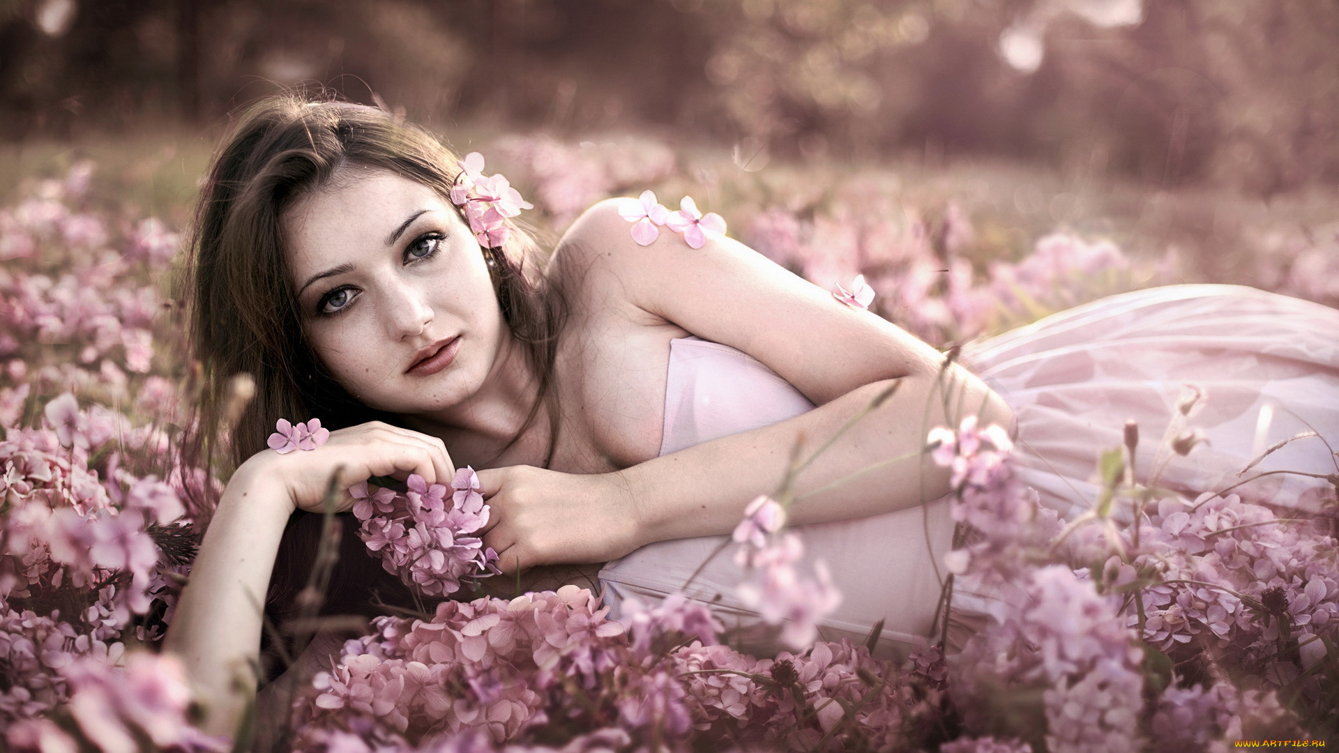 -Unsort, Брюнетки, Шатенки, девушки, unsort, брюнетки, шатенки, цветы