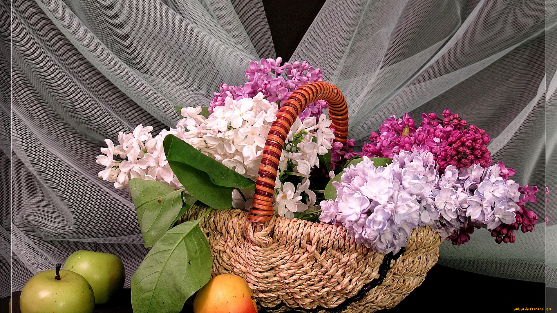 цветы, сирень, натюрморт