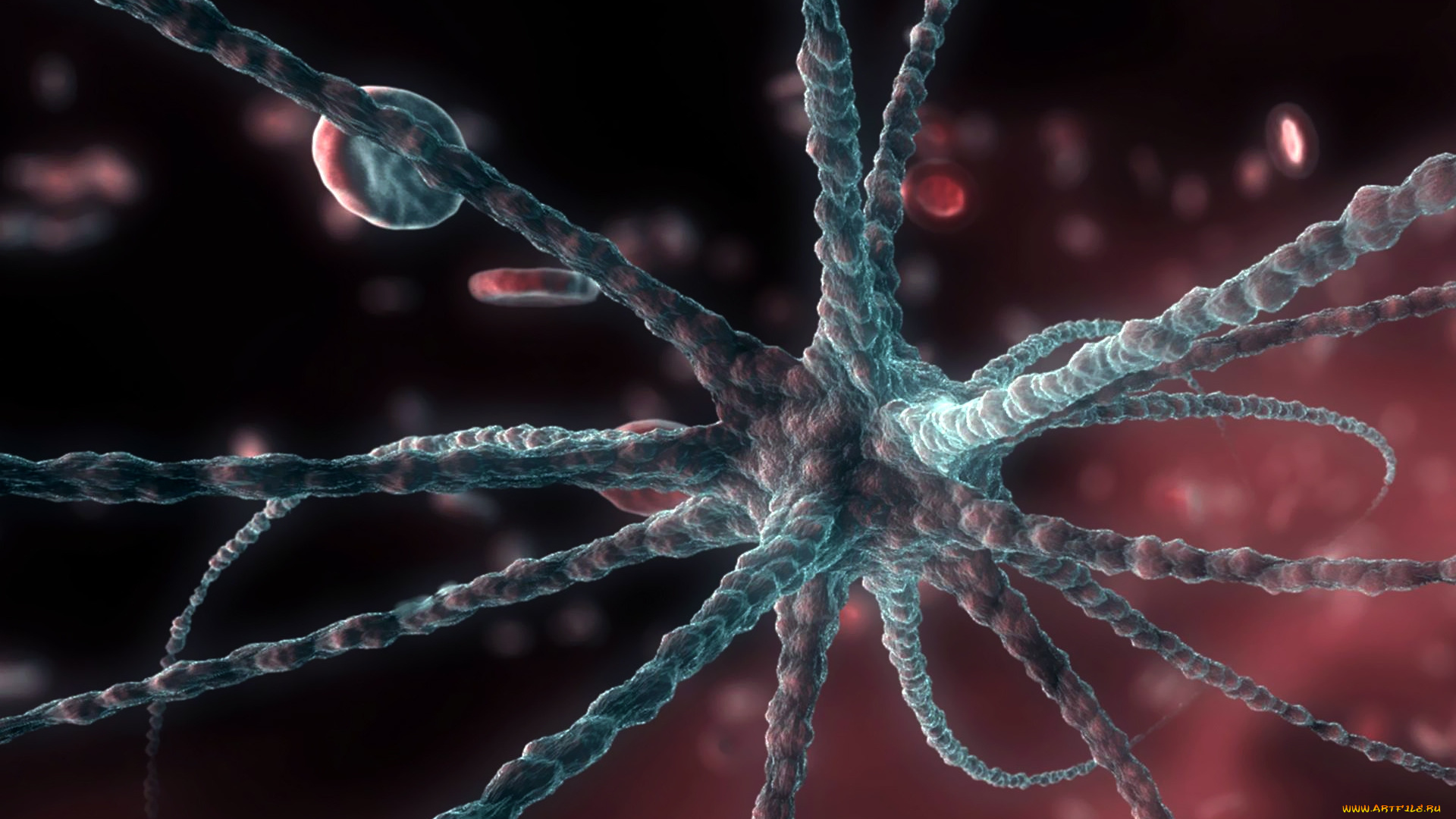 neuron, 3д, графика, другое, клетка, нейрон