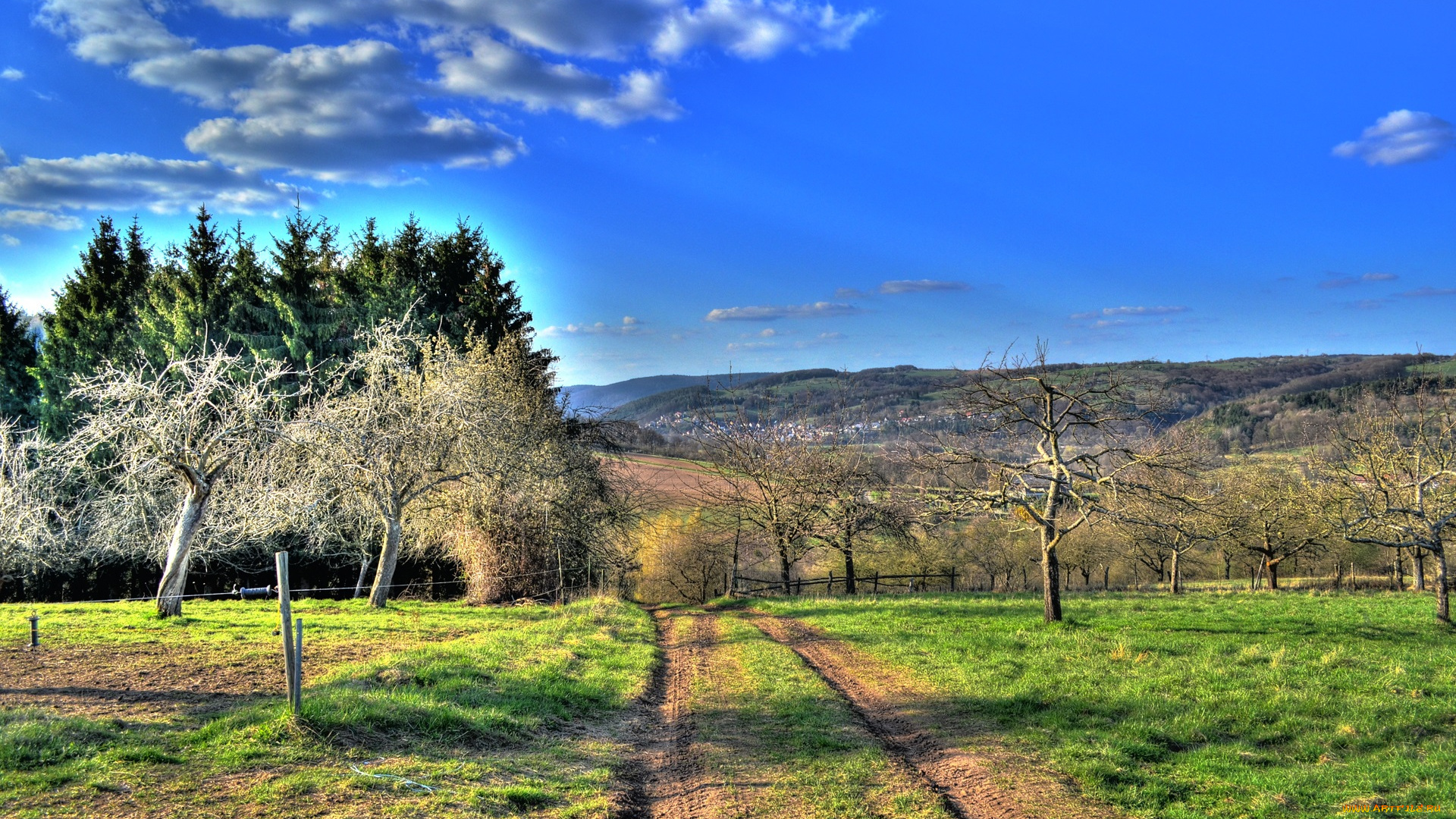 природа, дороги, дорога, деревья, кусты, трава, облака