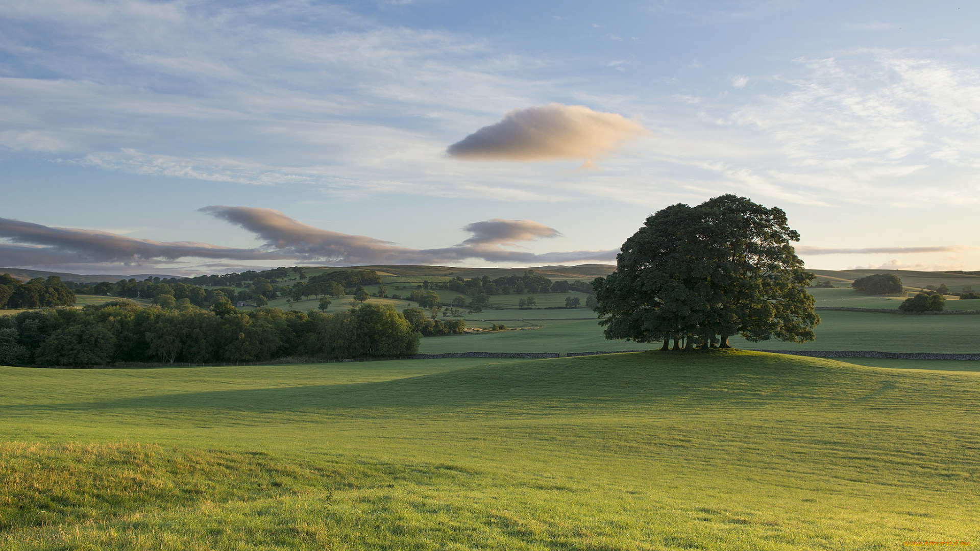 природа, луга, деревья, пейзаж