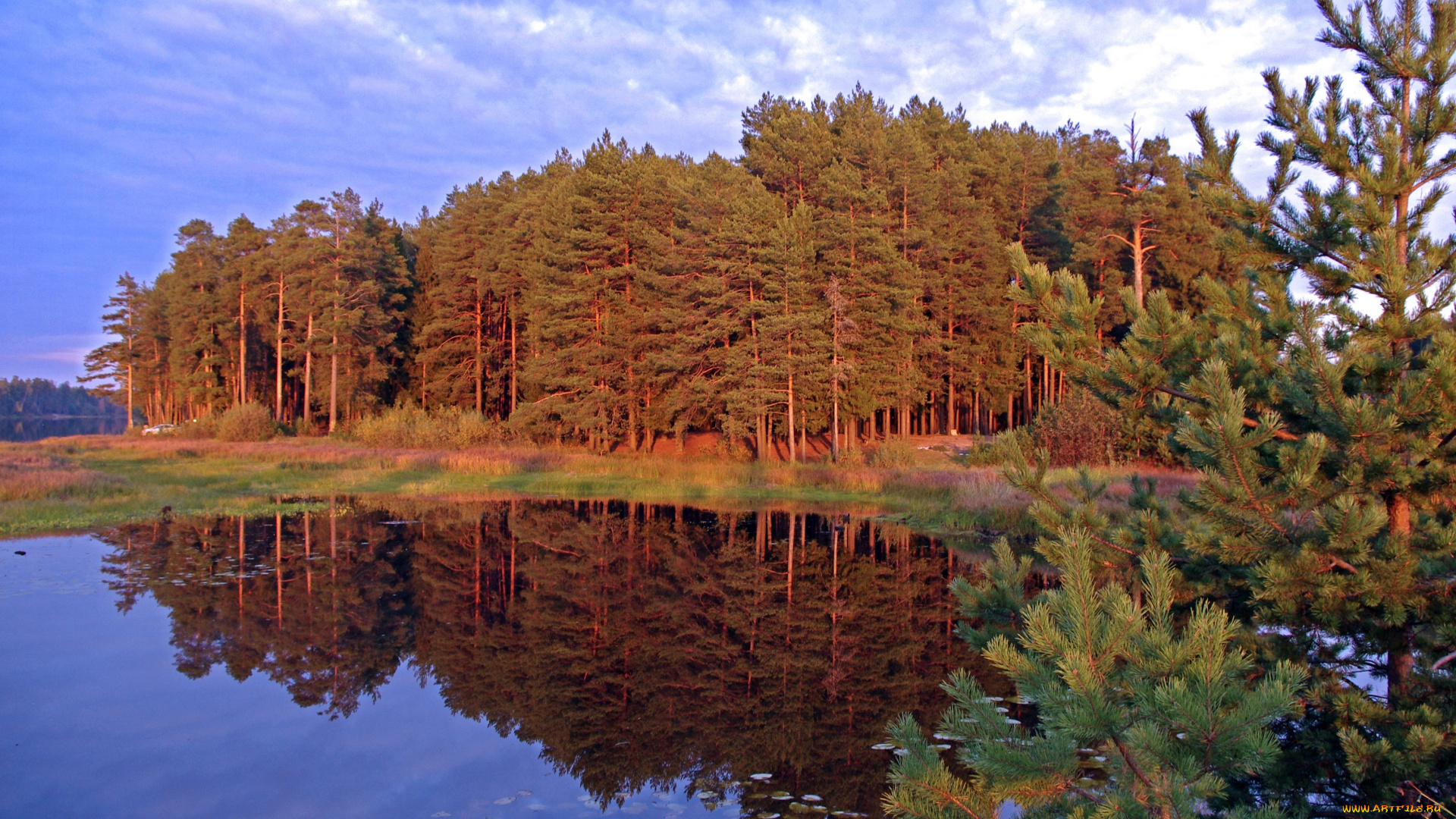 природа, реки, озера, небо, озеро, отражение, сосны