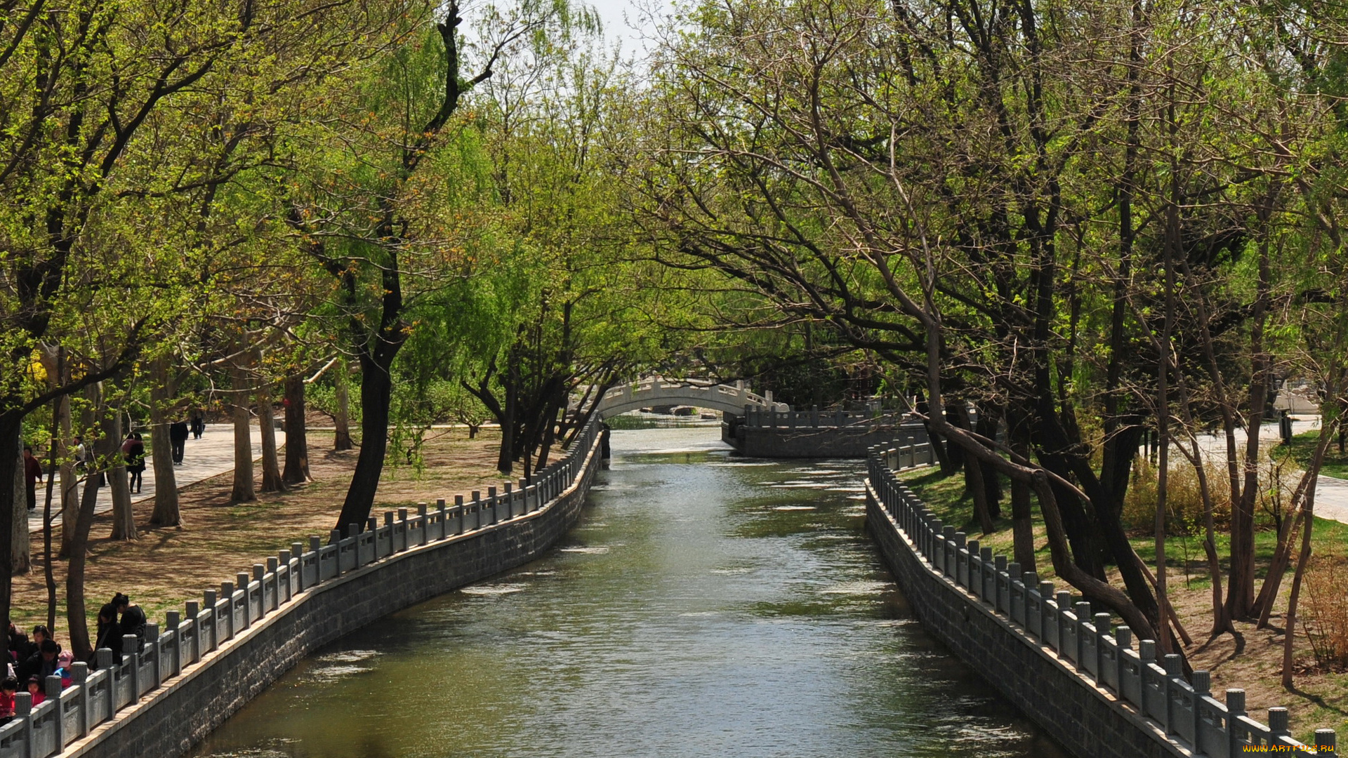 природа, реки, озера, парк, река