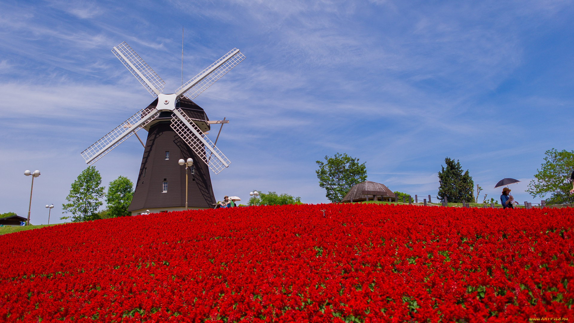 tsurumi, ryokuchi, park, osaka, japan, природа, парк, осака, Япония, мельница, цветы