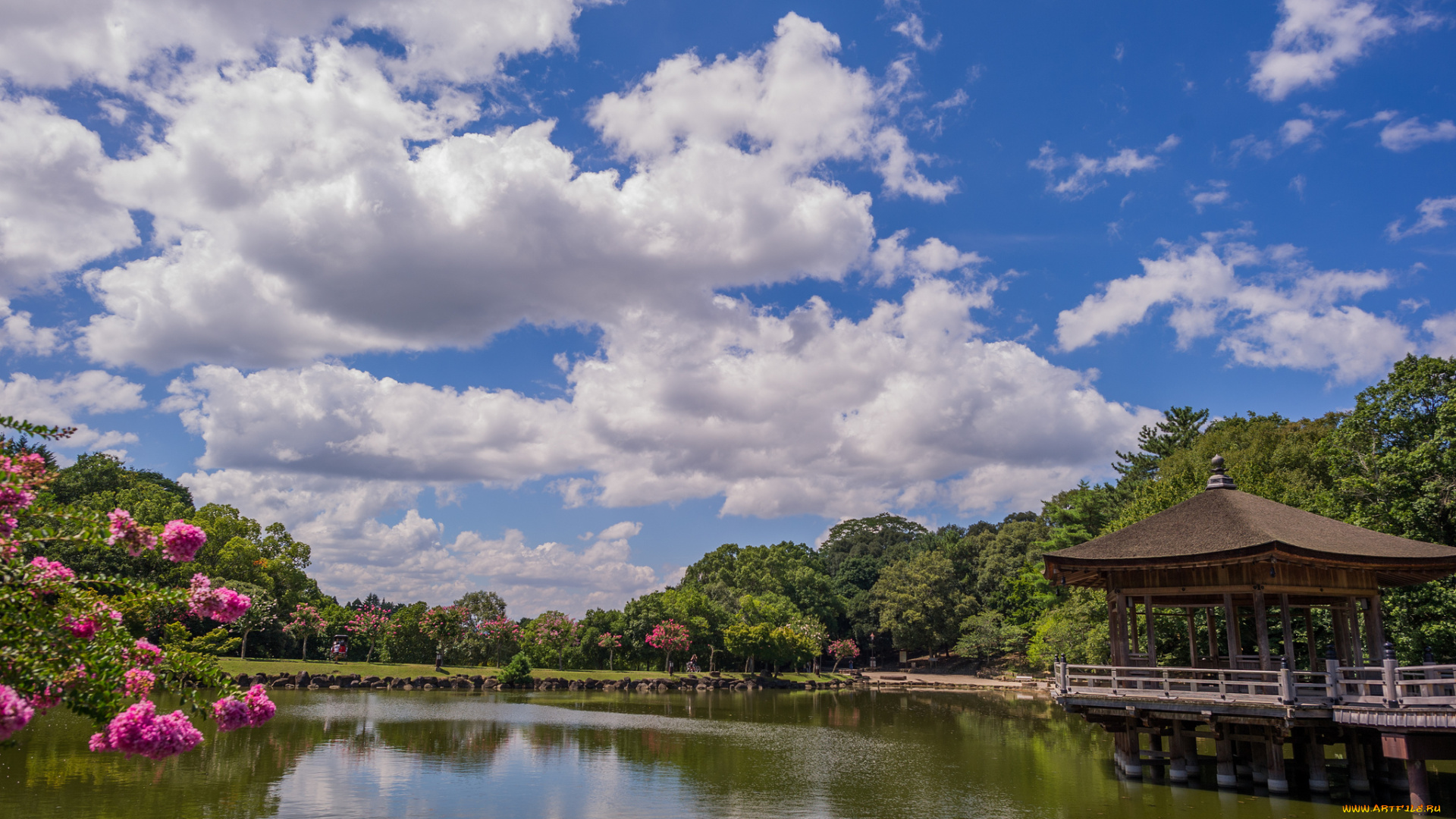 ukimido, pavilion, nara, park, japan, природа, парк, нара, деревья, павильон, беседка, облака, пруд