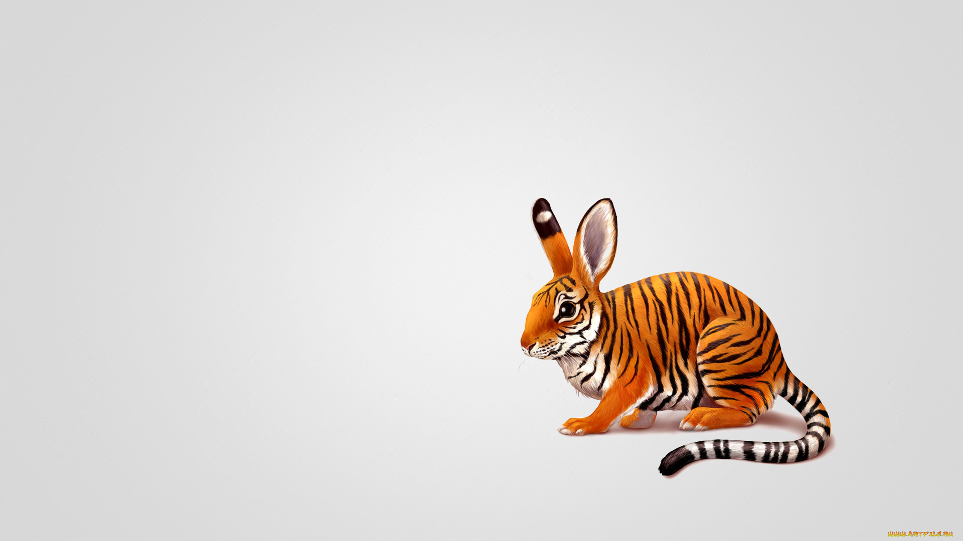 юмор, приколы, кролик, заяц, тигр, окраска, хвостатый, животное, минимализм