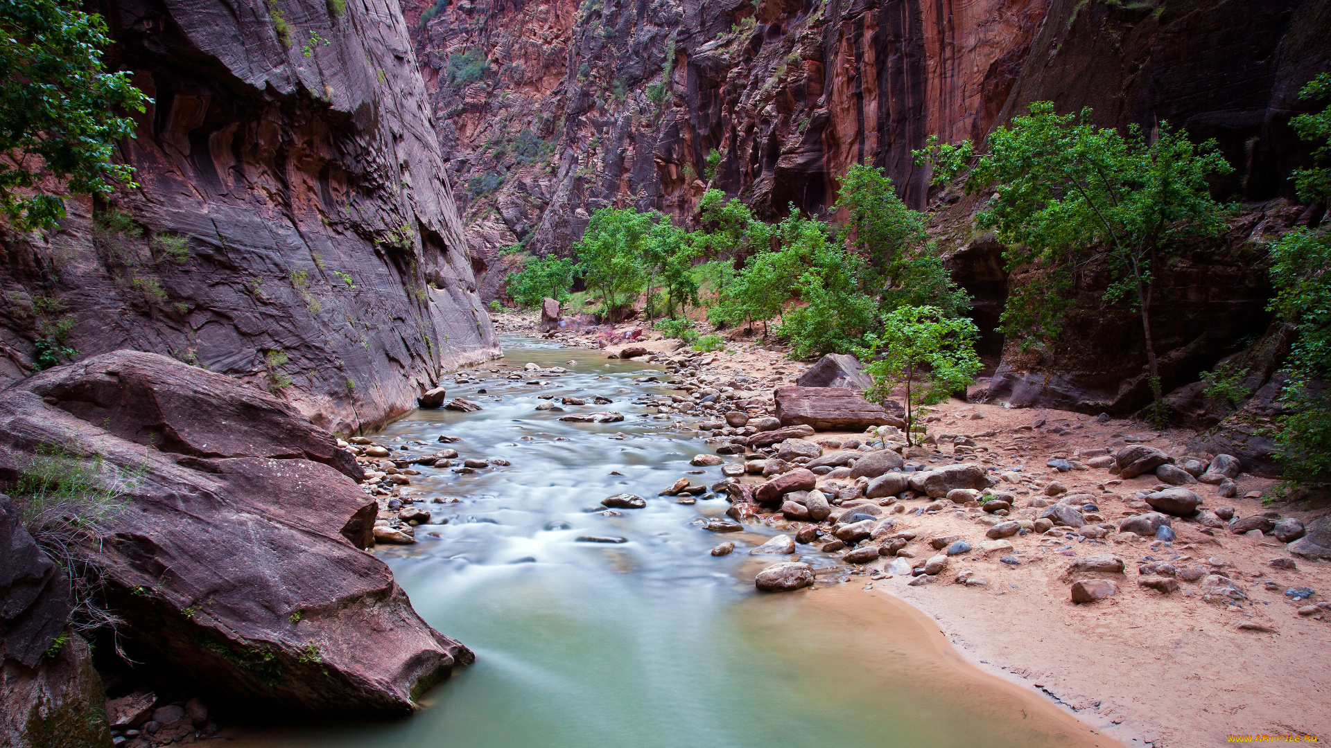zion, national, park, utah, природа, реки, озера, юта, национальный, парк, зайон, virgin, river, скалы, каньон, река, вирджиния