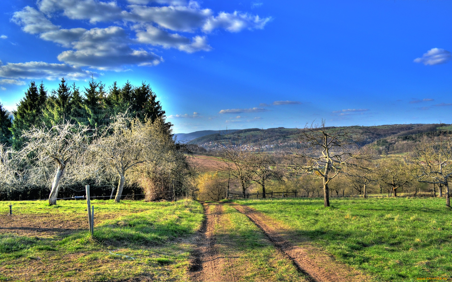 природа, дороги, дорога, деревья, кусты, трава, облака