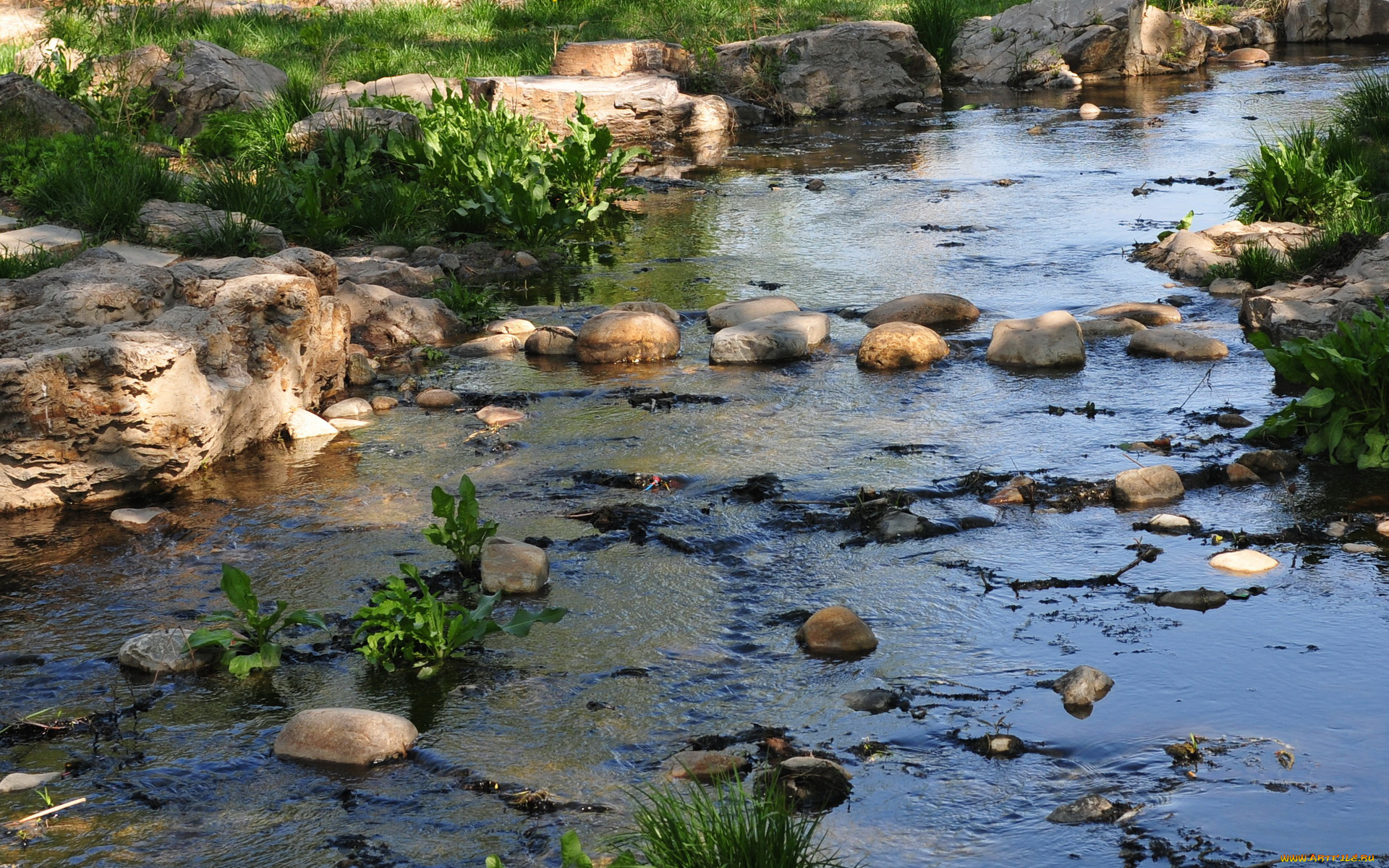 природа, реки, озера, камни, вода