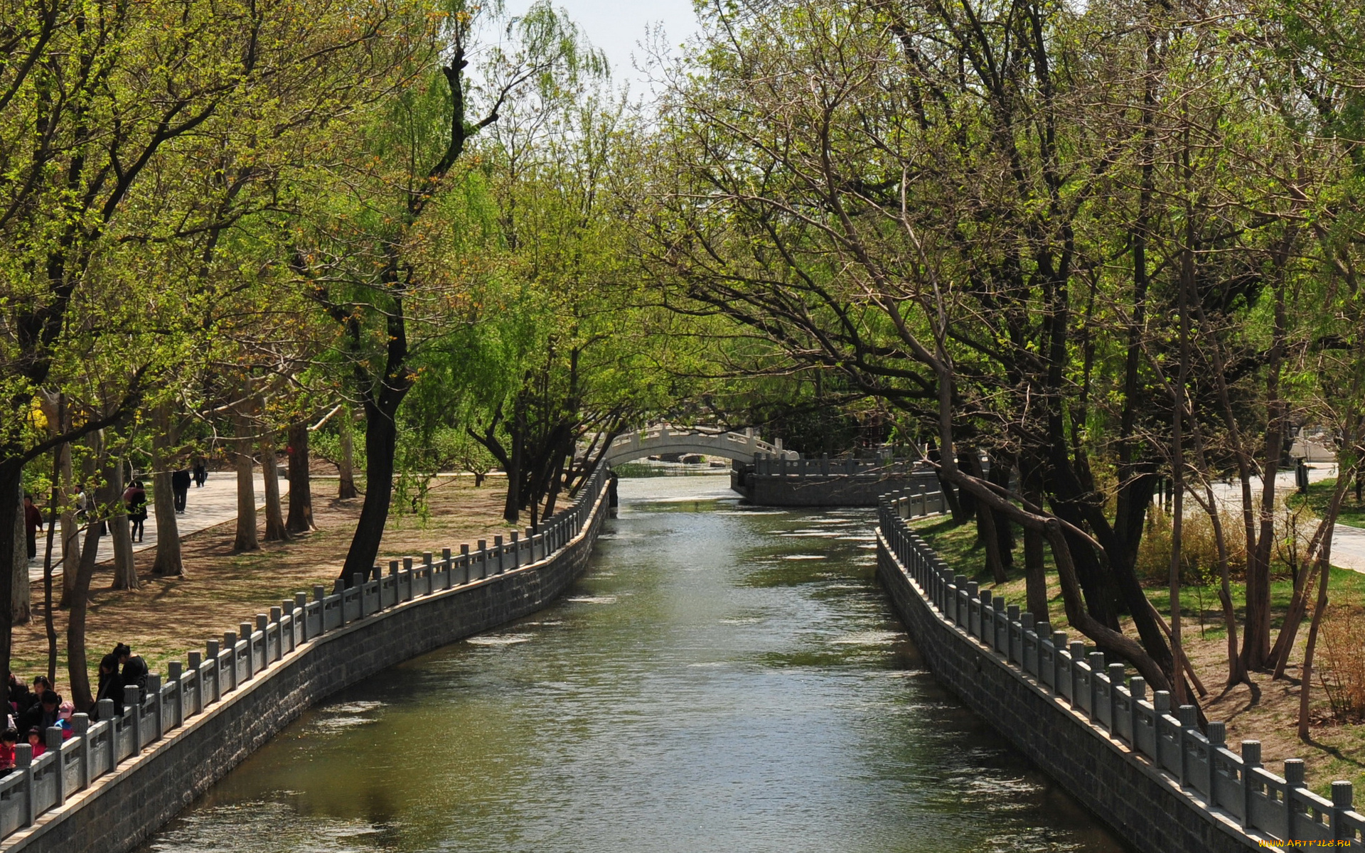 природа, реки, озера, парк, река