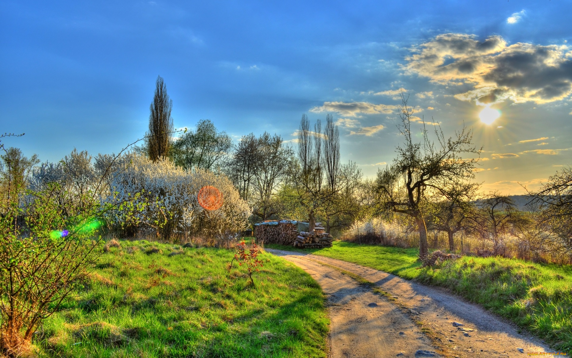 природа, дороги, дорога, деревья, кусты, трава, облака, солнце