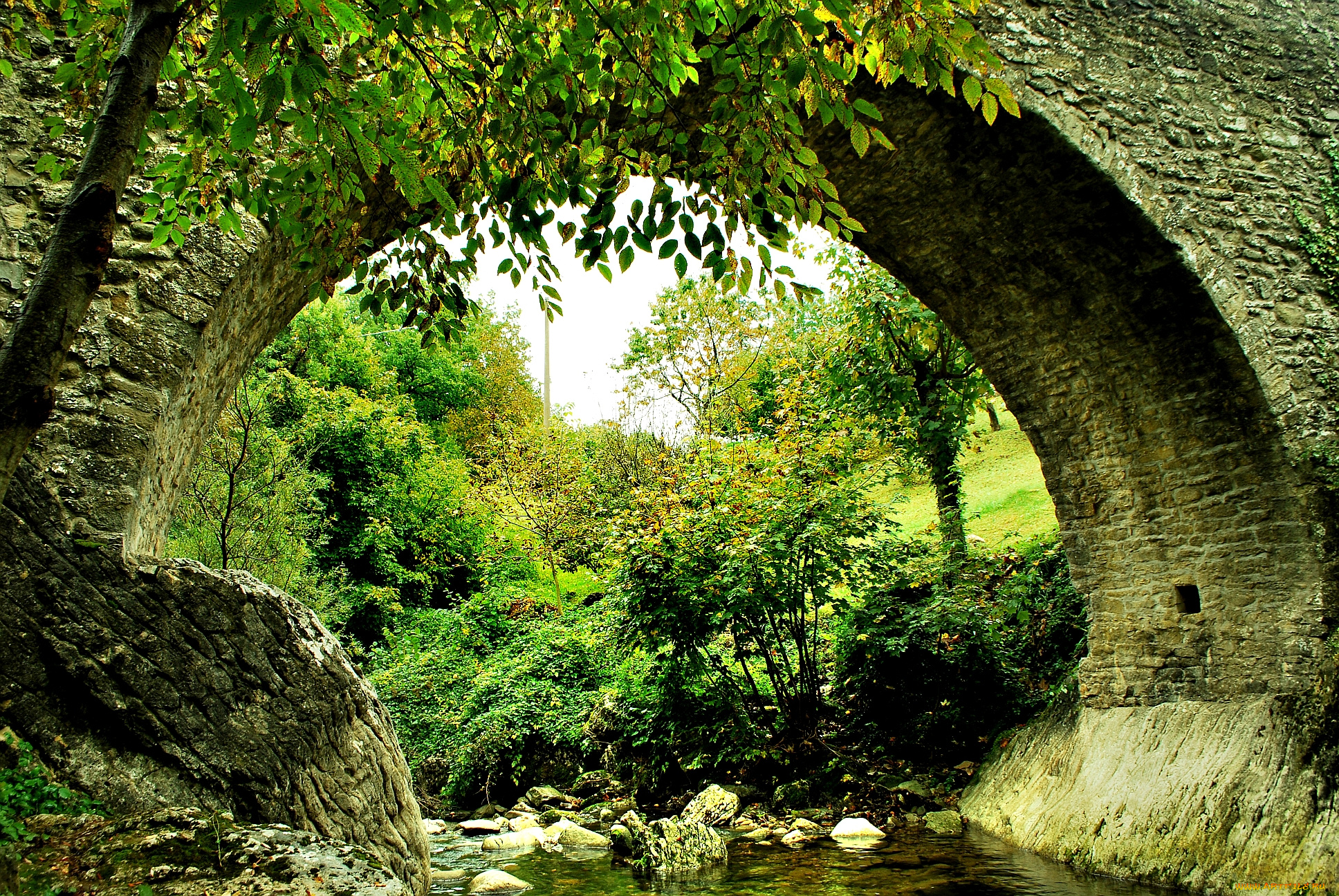 ponte, romano, природа, реки, озера, лес, лето, арка, ручей