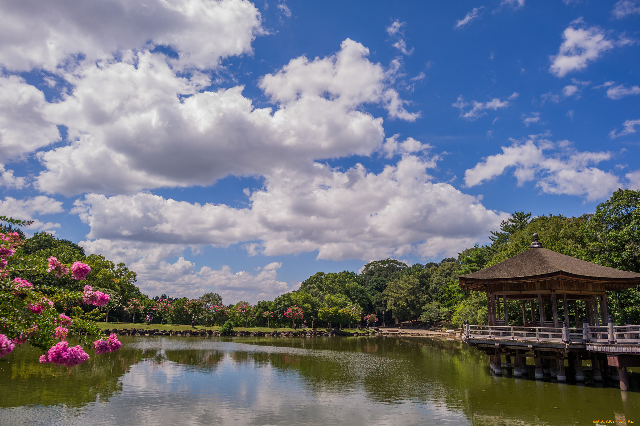 ukimido, pavilion, nara, park, japan, природа, парк, нара, деревья, павильон, беседка, облака, пруд
