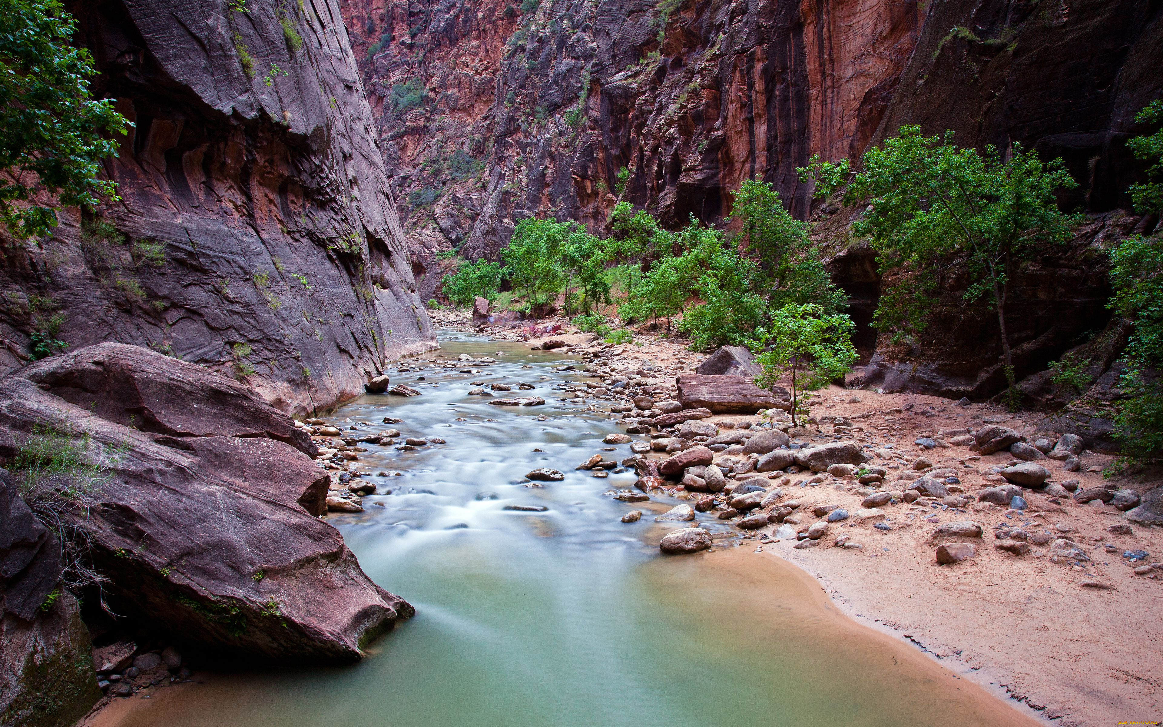 zion, national, park, utah, природа, реки, озера, юта, национальный, парк, зайон, virgin, river, скалы, каньон, река, вирджиния