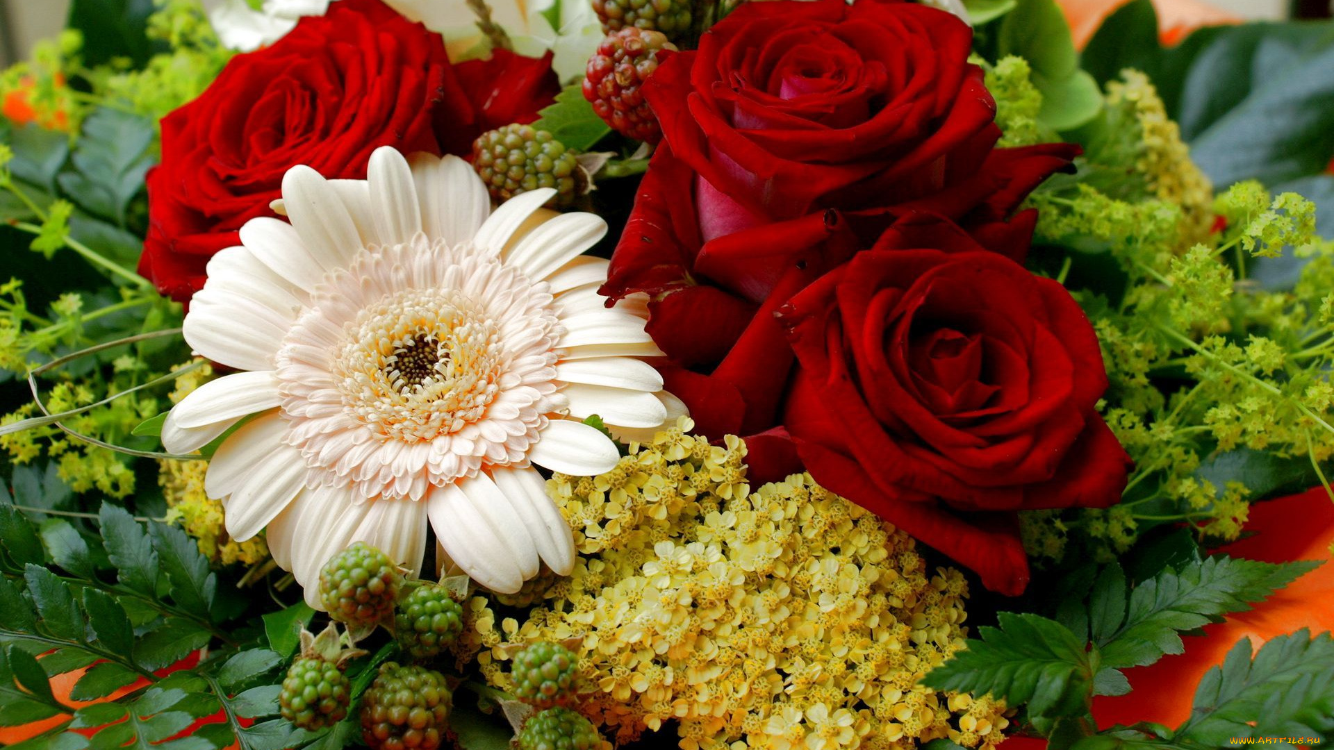 цветы, разные, вместе, бутоны