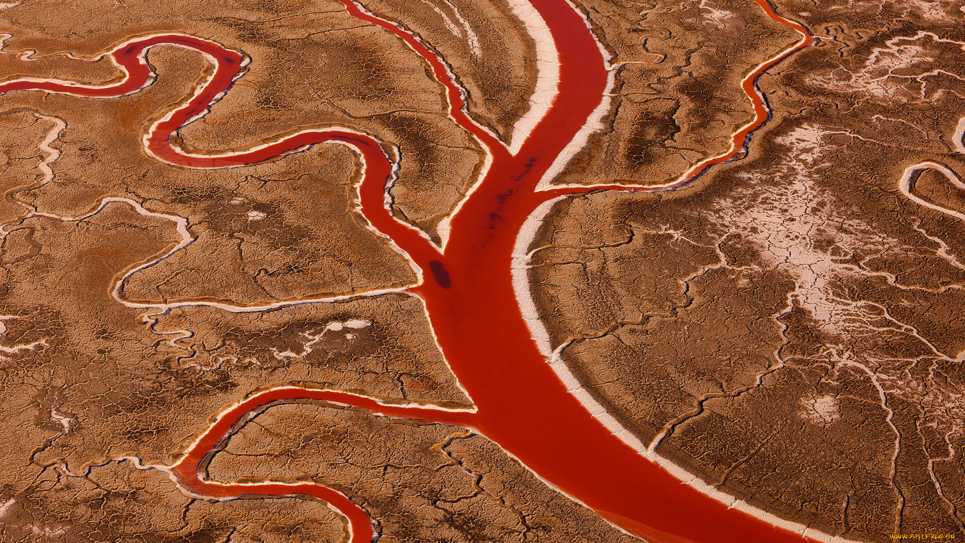 природа, другое, высохший, солёный, залив, сан, -, францыско