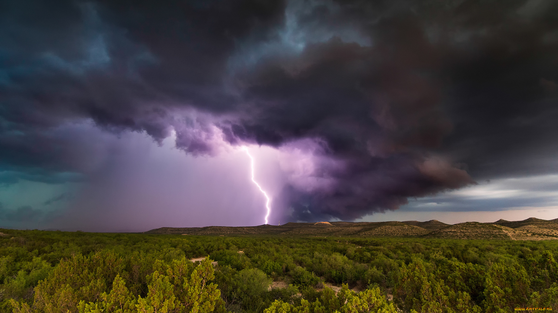 природа, молния, , гроза, шторм, тучи, лес