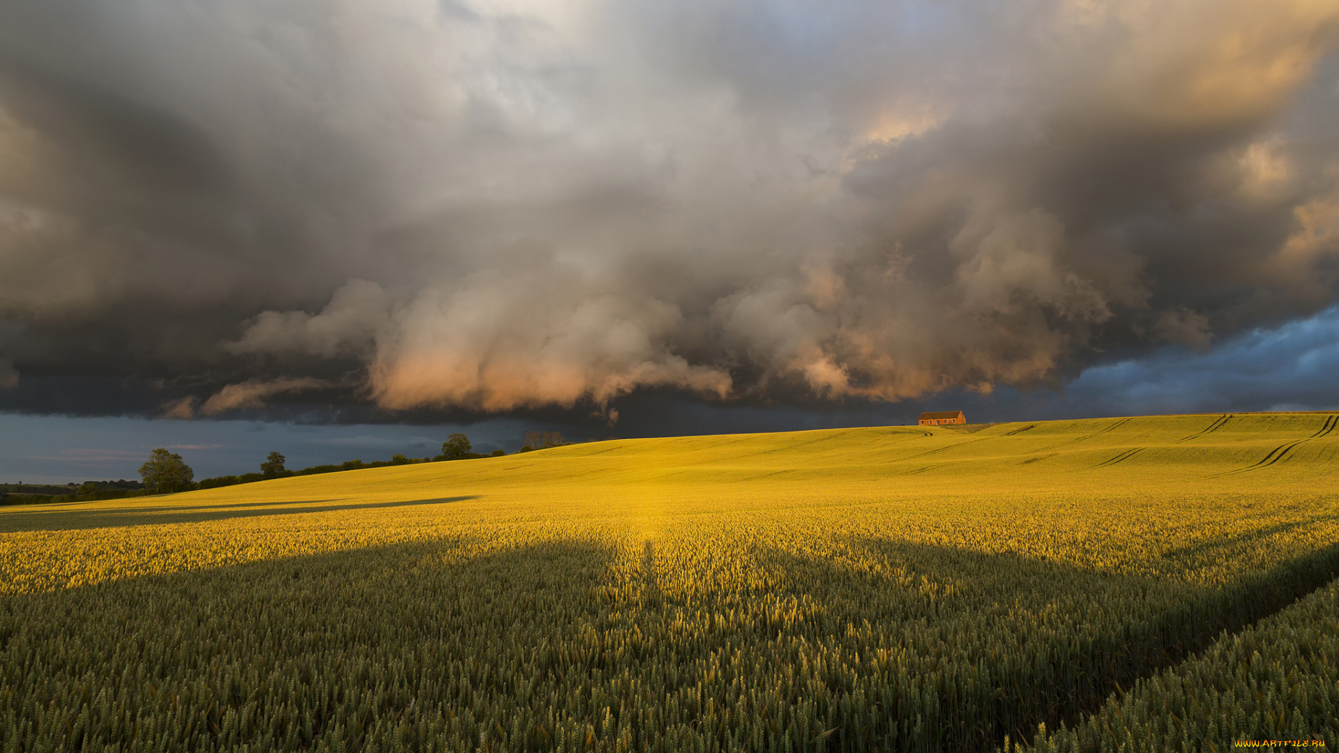 природа, стихия, перед, штормом, тучи, небо, поле, северный, йоркшир, великобритания, англия, июль, лето, солнечный, свет, вечер