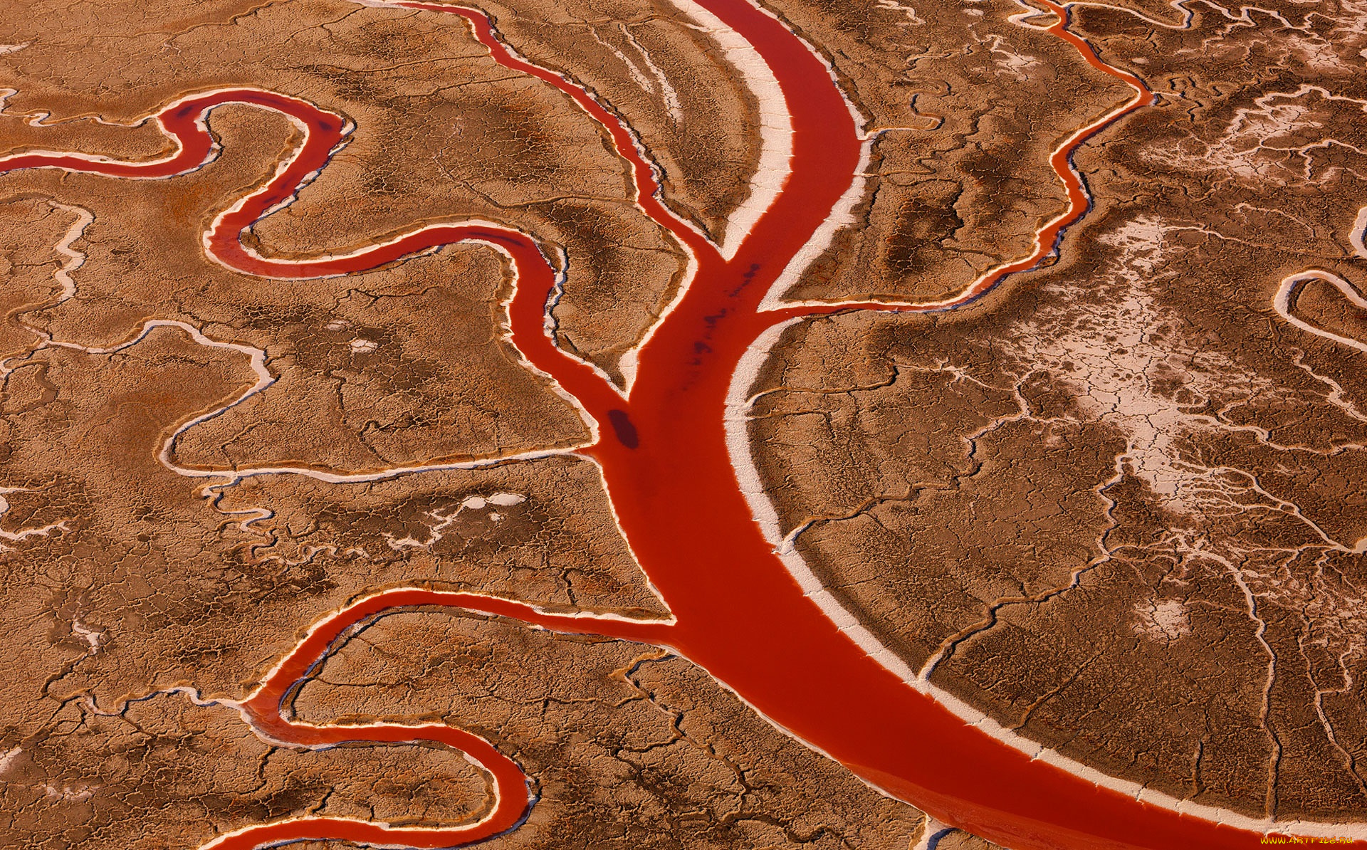 природа, другое, высохший, солёный, залив, сан, -, францыско