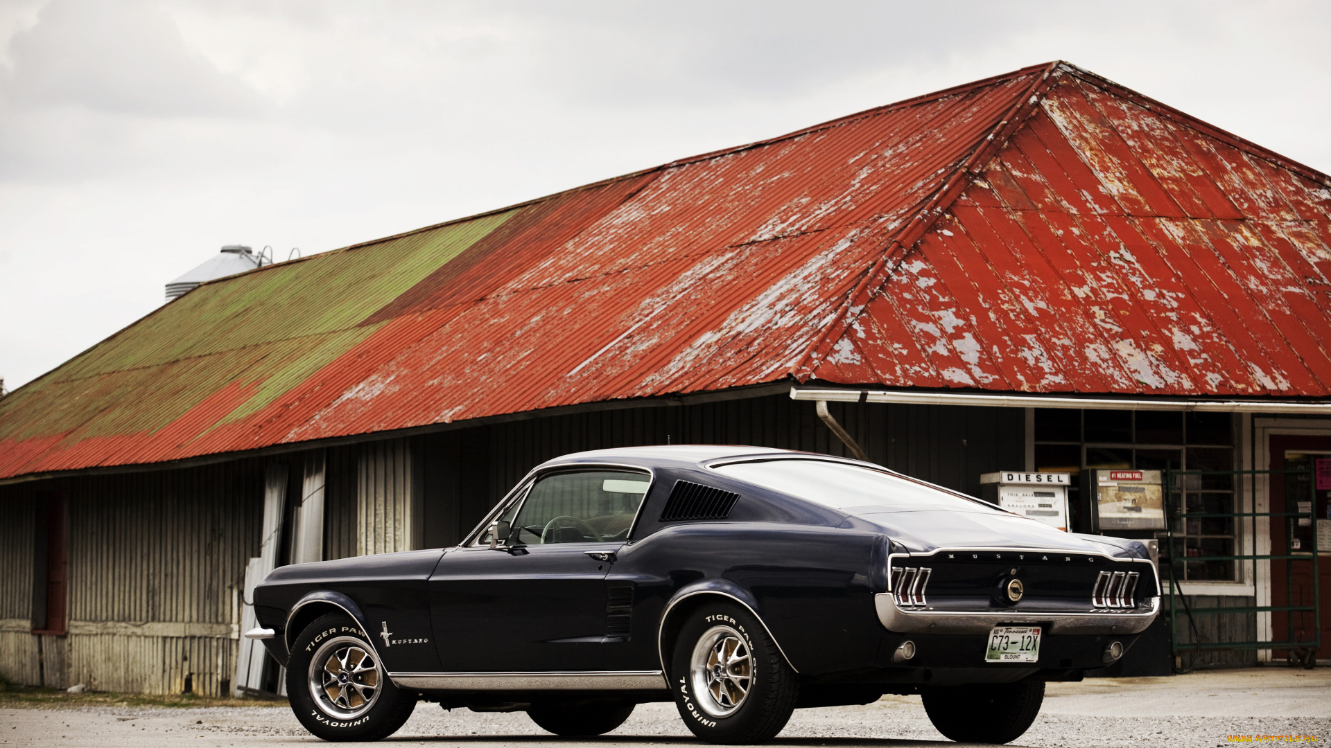 автомобили, mustang