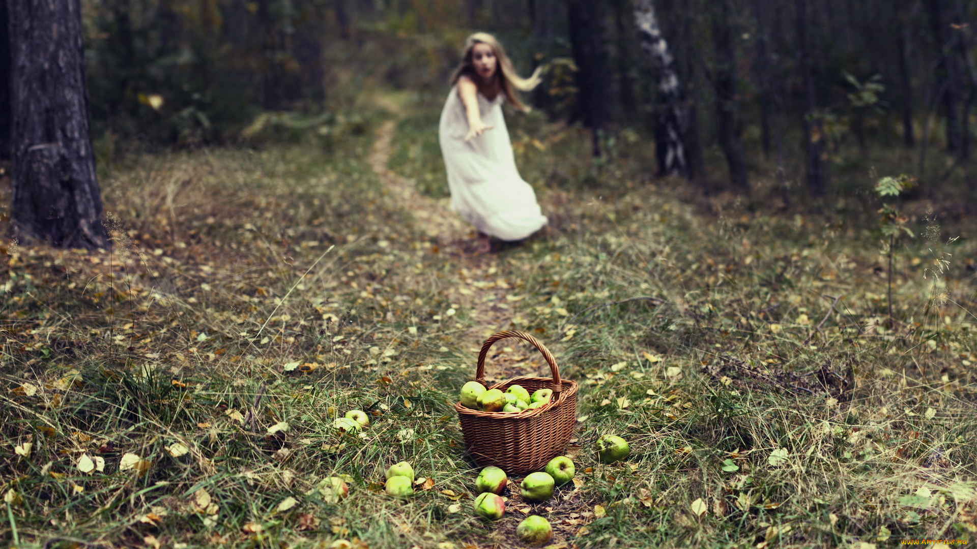 девушки, -unsort, , блондинки, блондинка, лес, трава, тропа, яблоки, корзина