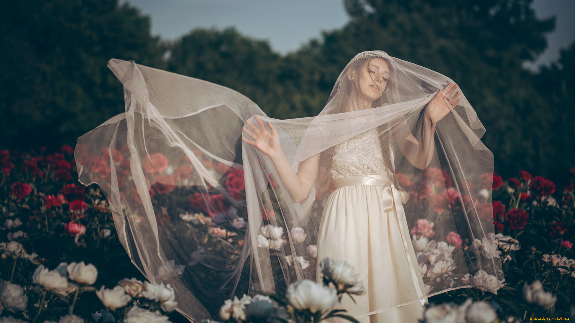 девушки, -unsort, , брюнетки, , шатенки, цветы, фата, настроение, свадебное, платье, невеста, пионы