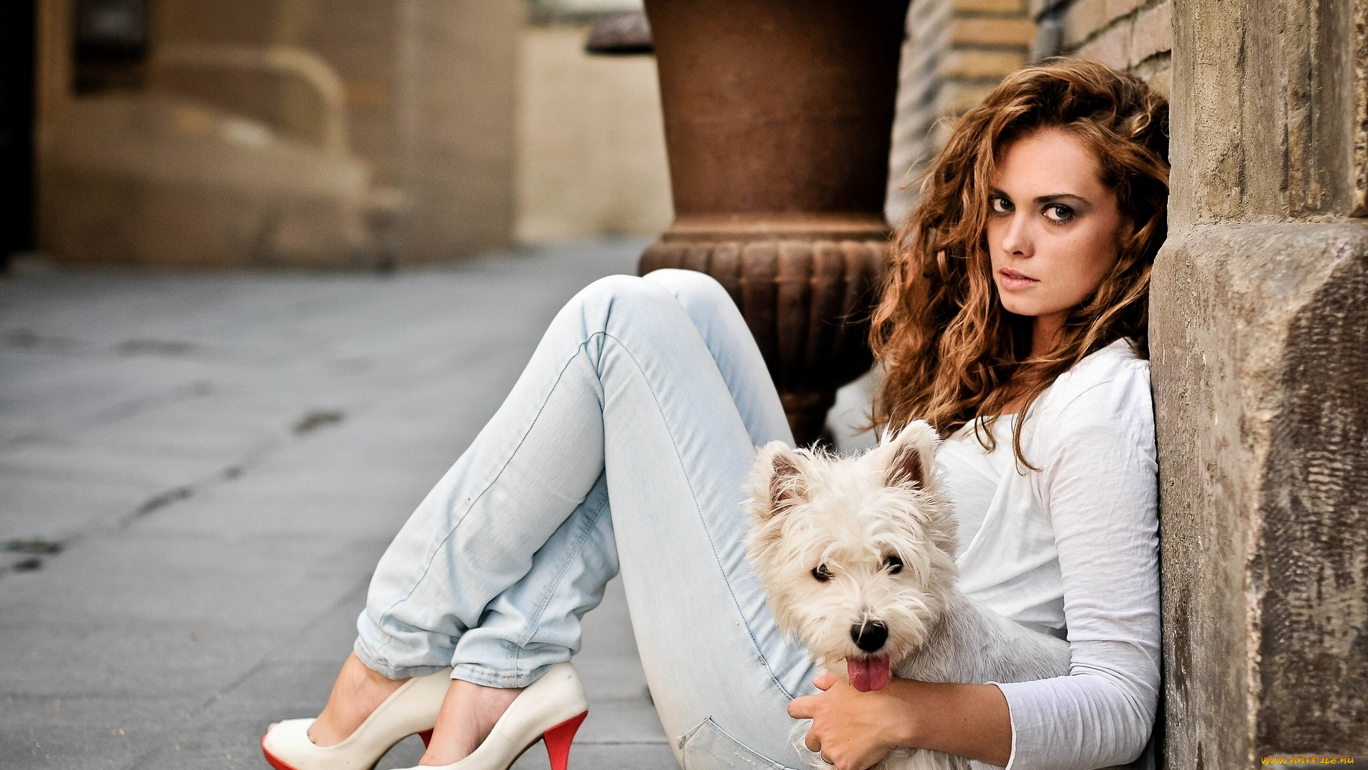 девушки, -unsort, , брюнетки, , шатенки, настроение, взгляд, собака, вест-хайленд-уайт-терьер, tamara, martin, velilla, каблуки, туфли, джинсы