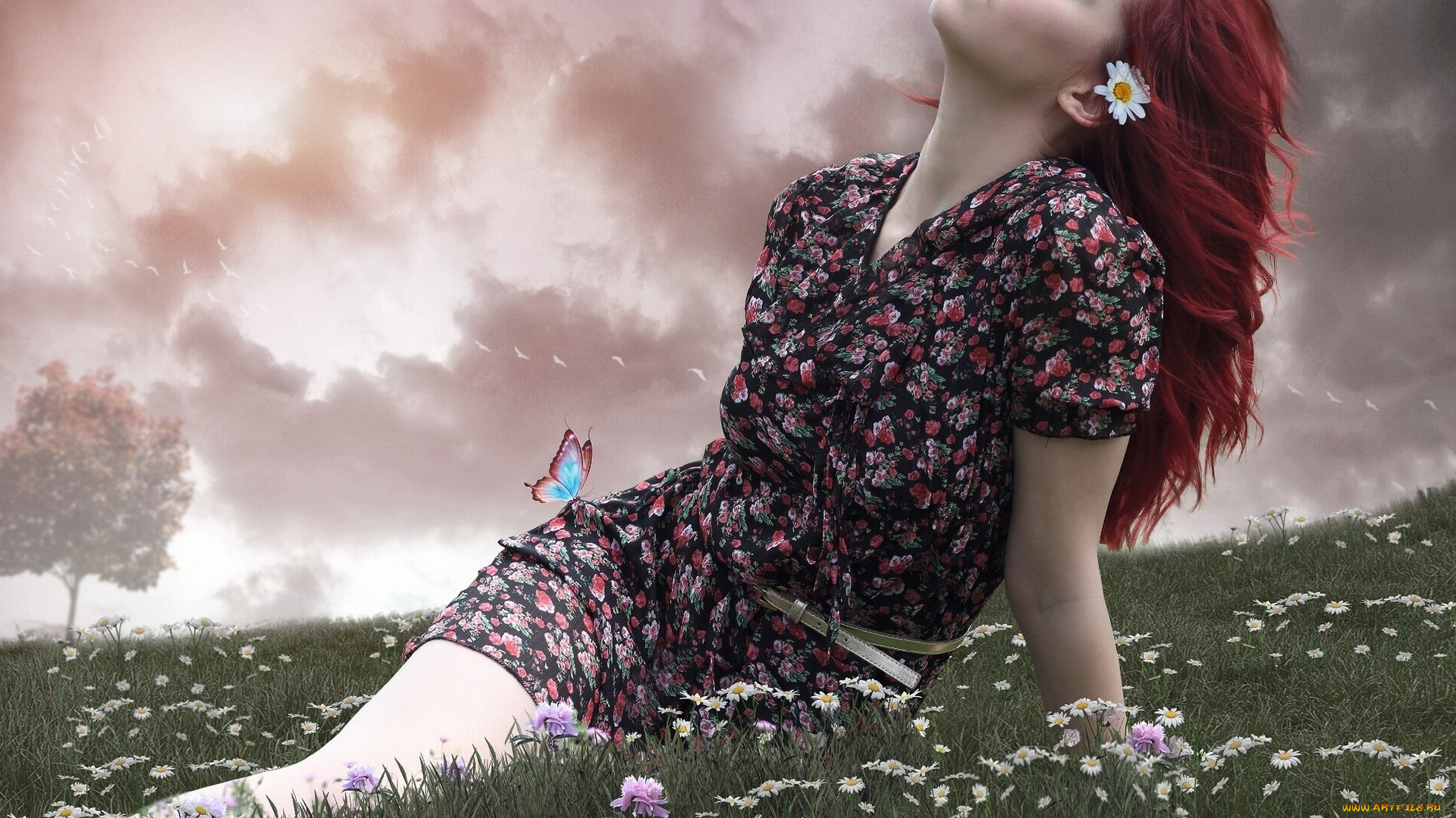 девушки, -unsort, , рыжеволосые, и, другие, цветы, луг, ромашки, бабочка, настроение, девушка