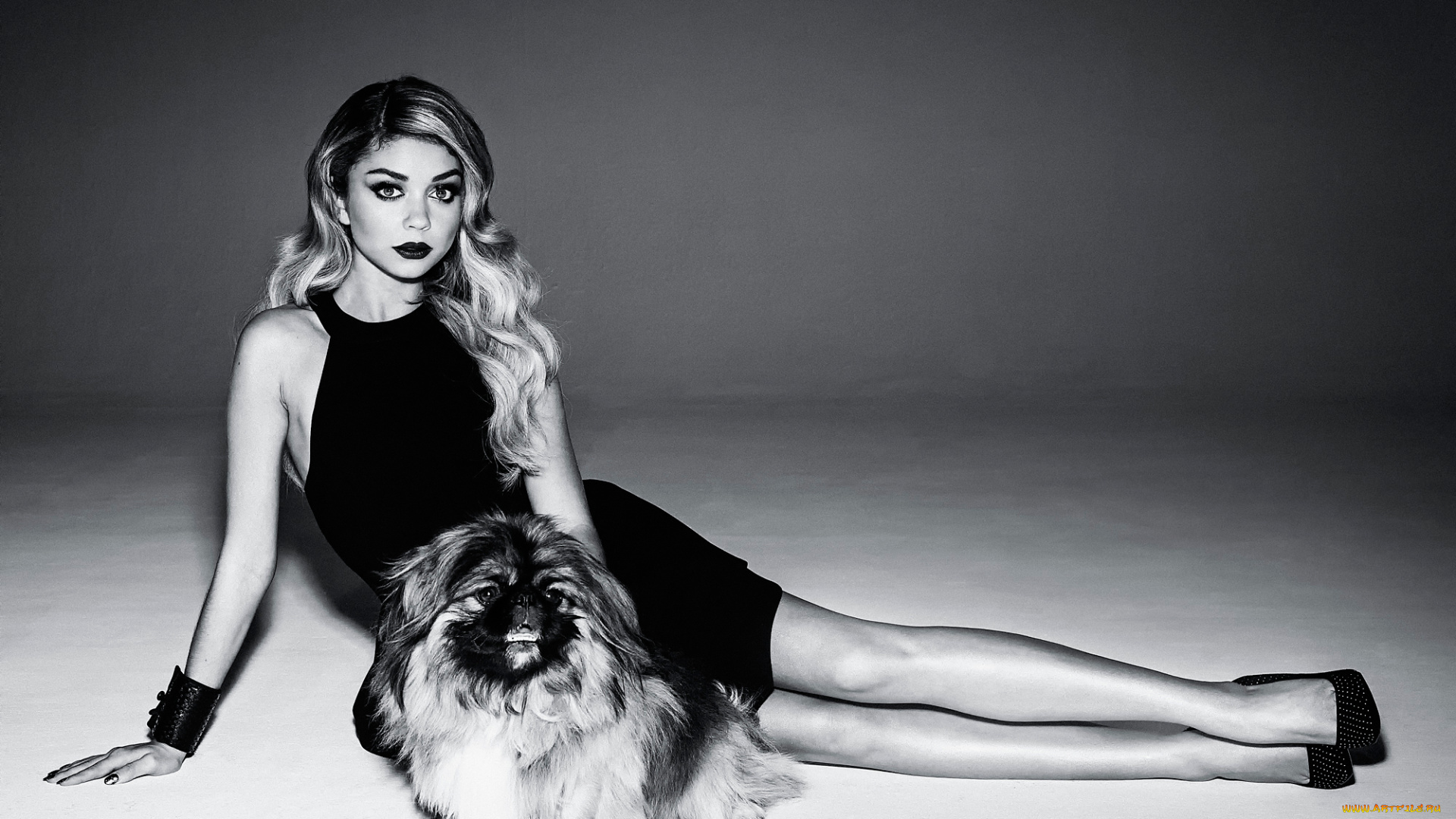 девушки, sarah, hyland, galore, фотосессия, собачка, sarah, hyland, сара, хайленд