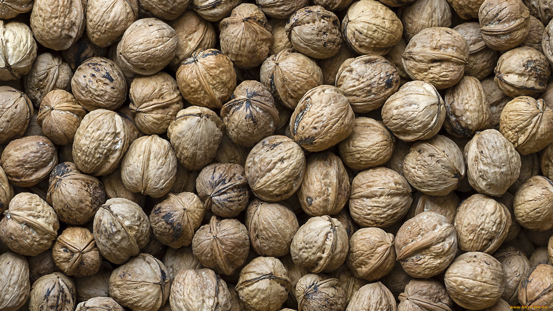 еда, орехи, , каштаны, , какао-бобы