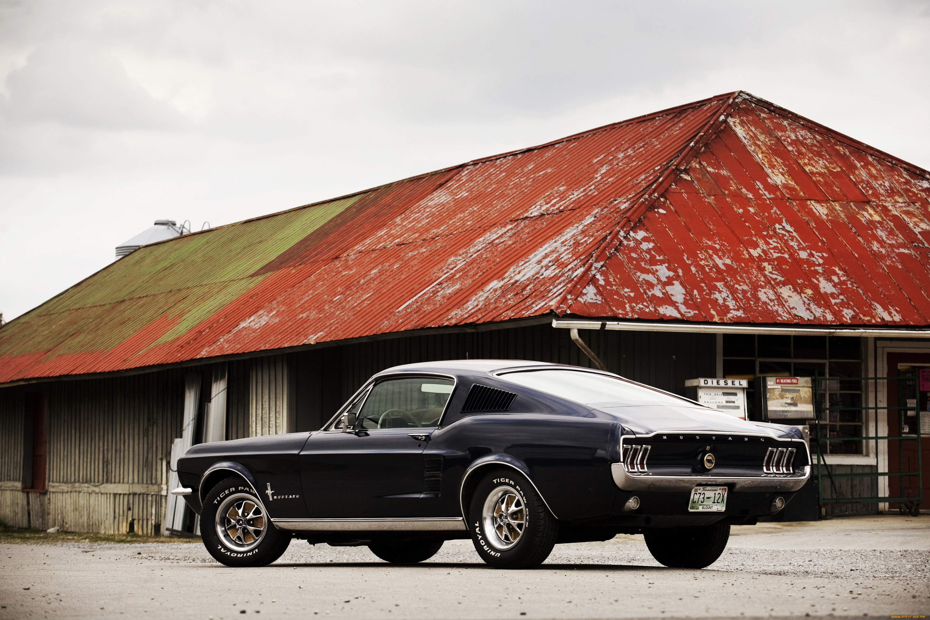 автомобили, mustang