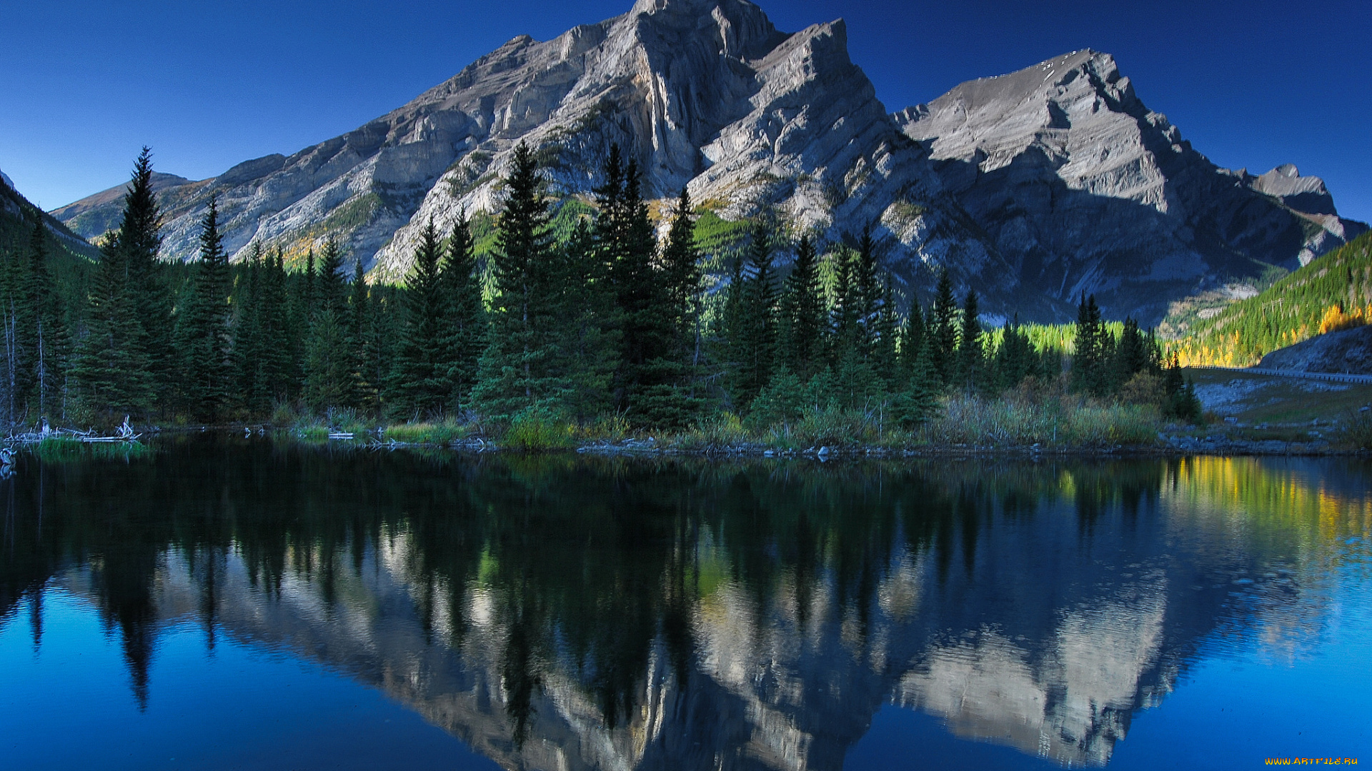 природа, реки, озера, лес, река