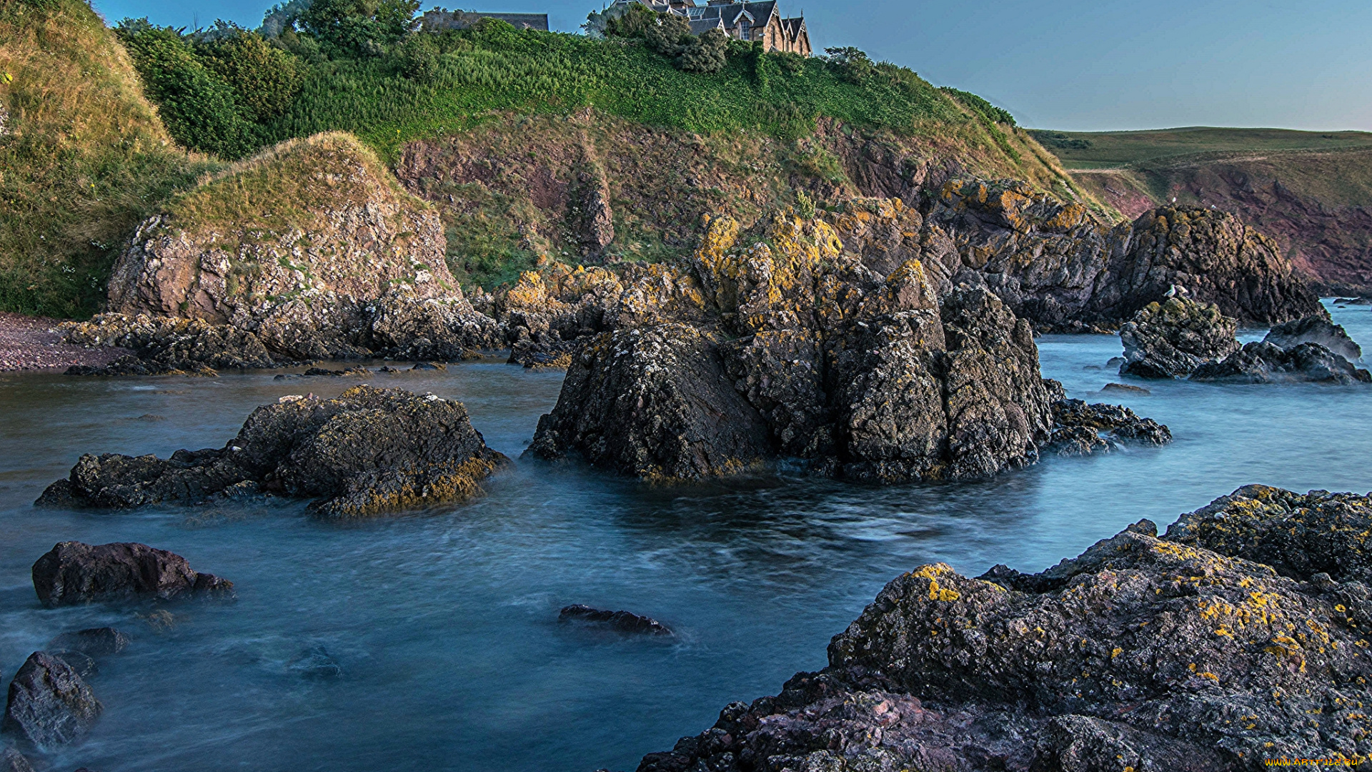 природа, реки, озера, лес, река