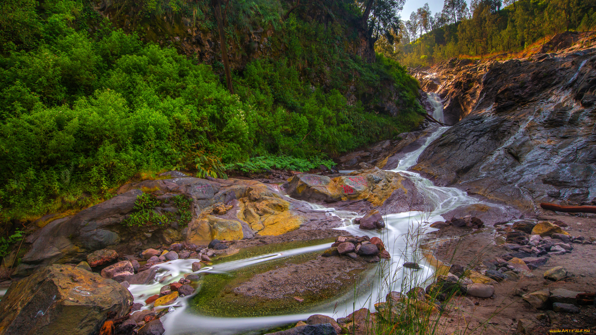 природа, реки, озера, лес, река