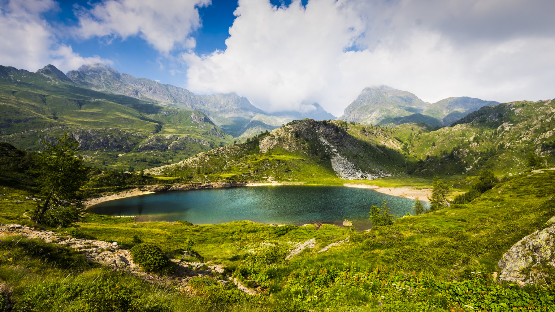 природа, реки, озера, лес, река