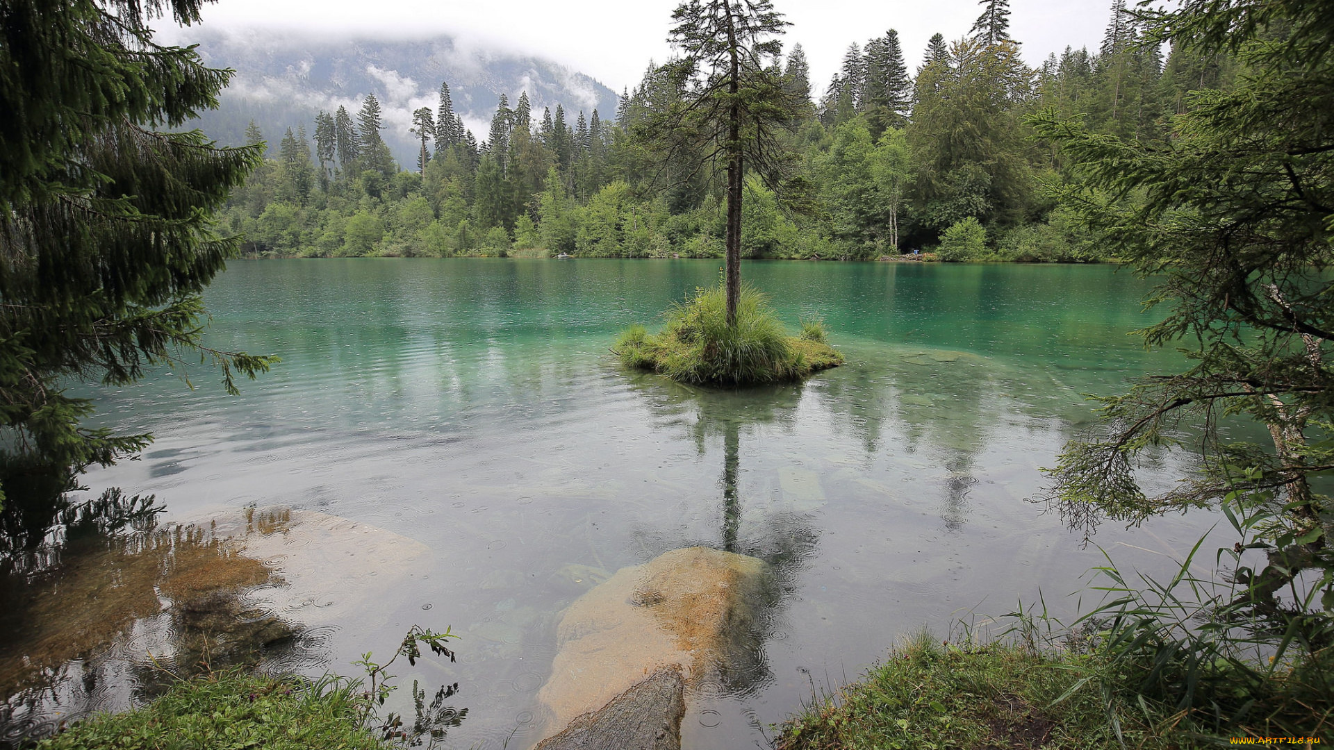 природа, реки, озера, лес, река