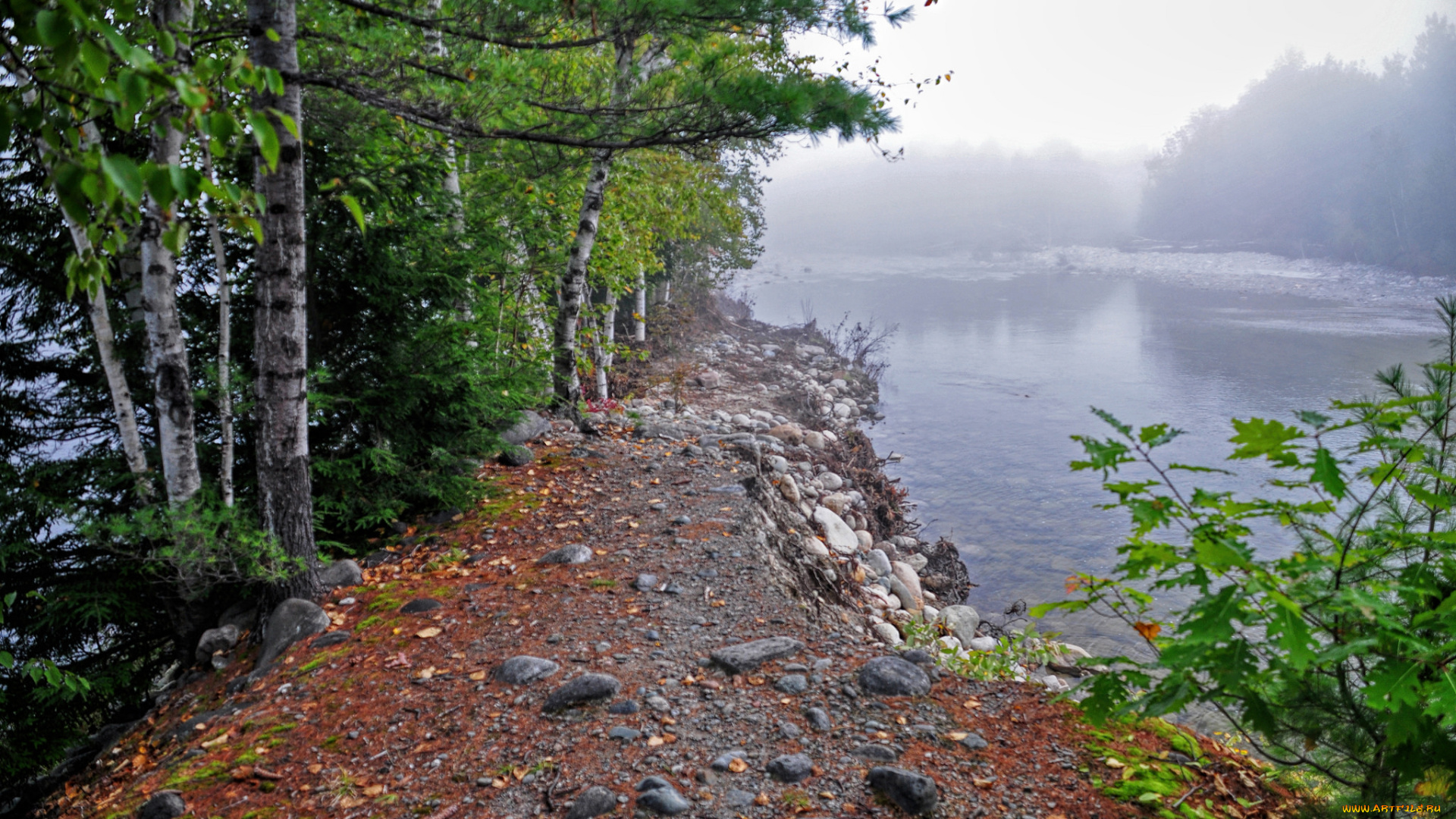 природа, реки, озера, река, лес