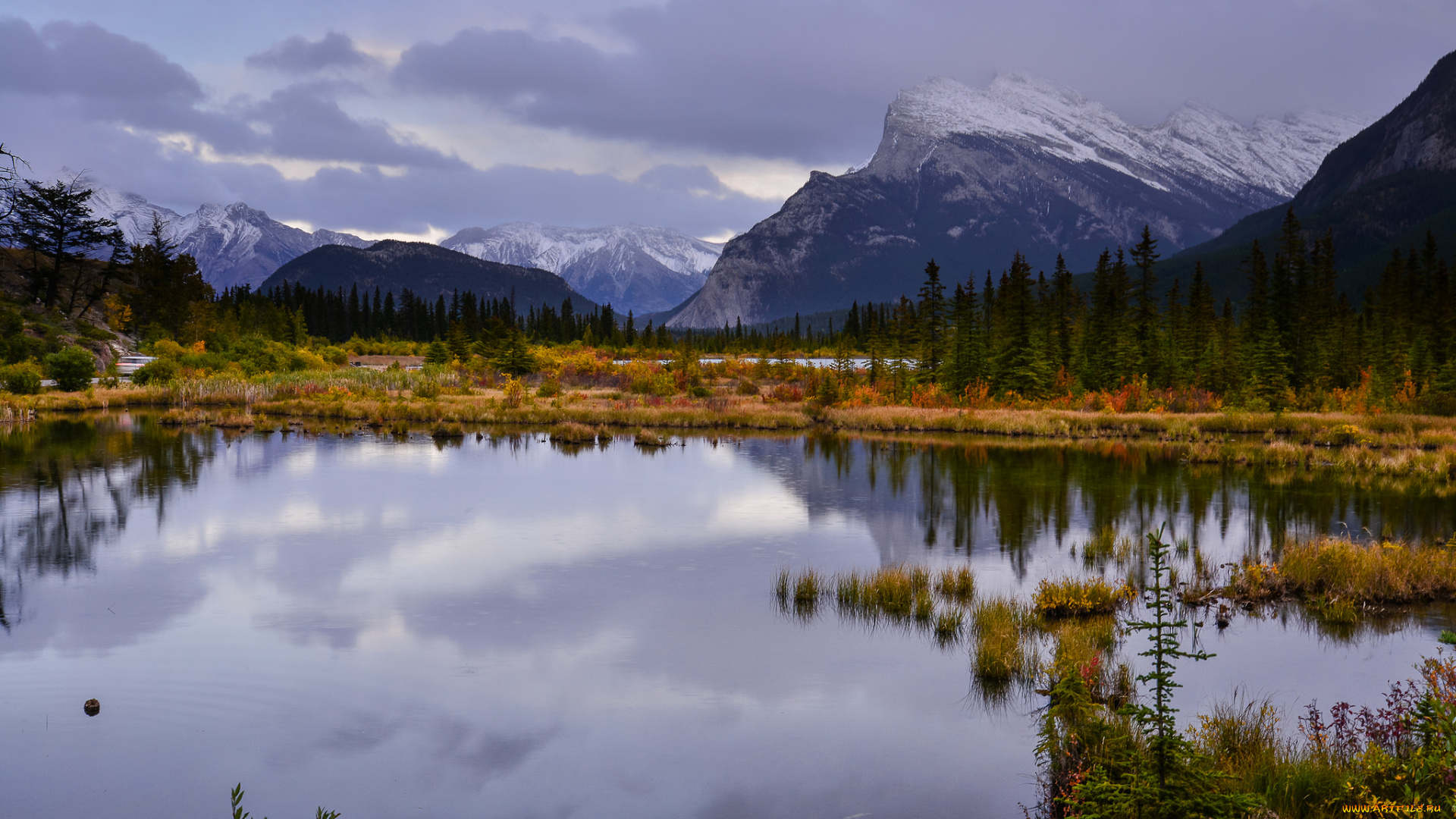 природа, реки, озера, река, лес