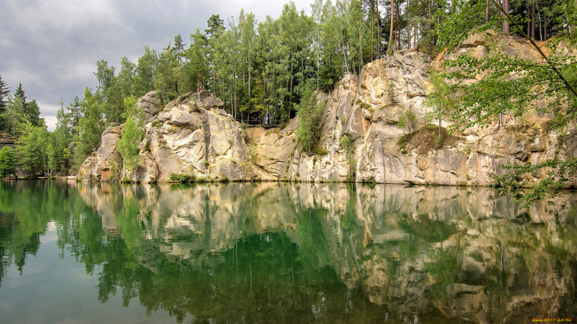 природа, реки, озера, река, лес