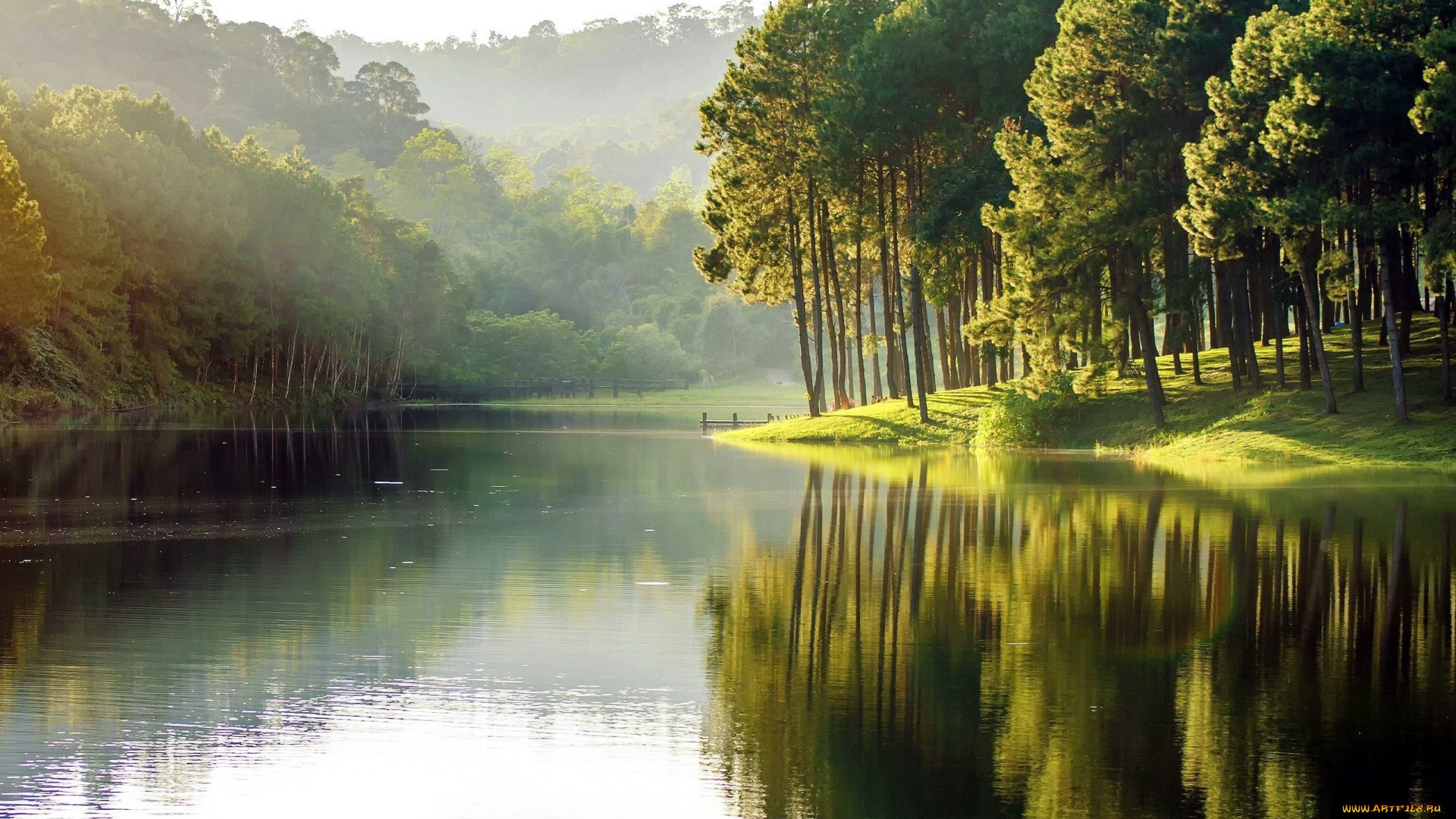 природа, реки, озера, вода, деревья, туман, покой