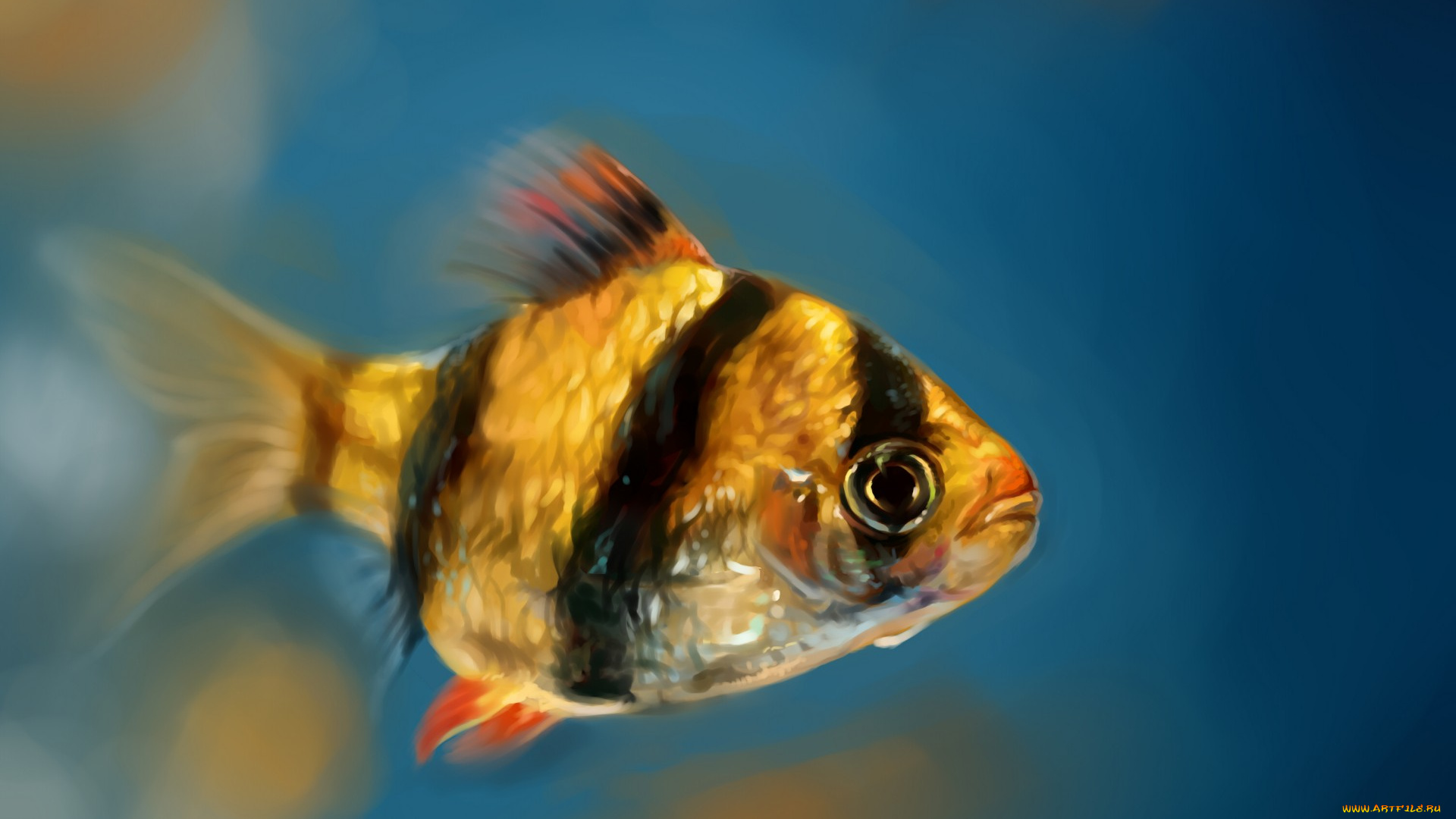 рисованное, животные, , рыбы, рисунок, рыбка